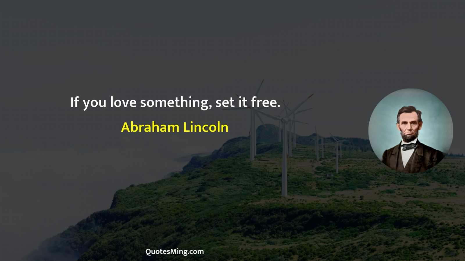 If you love something set it free