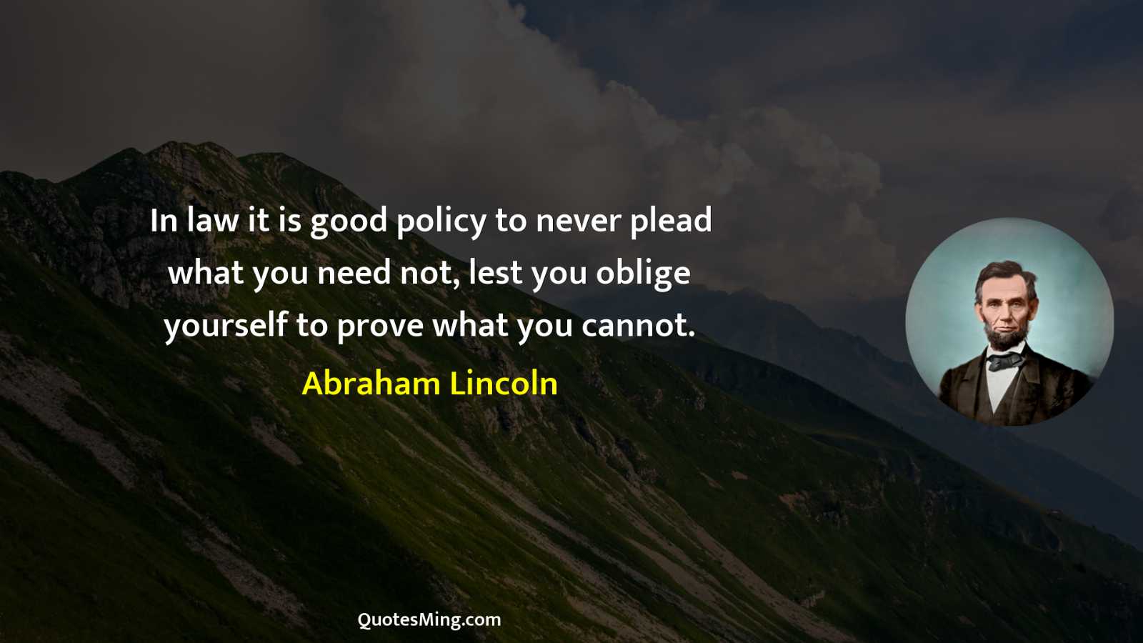 In law it is good policy to never plead what