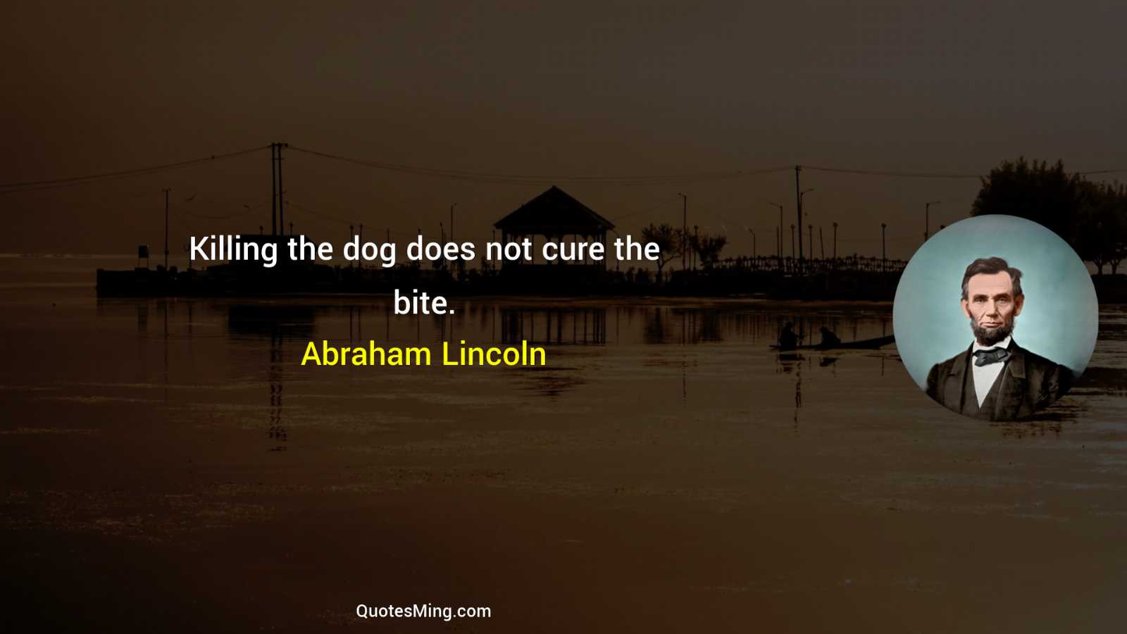 Killing the dog does not cure the bite