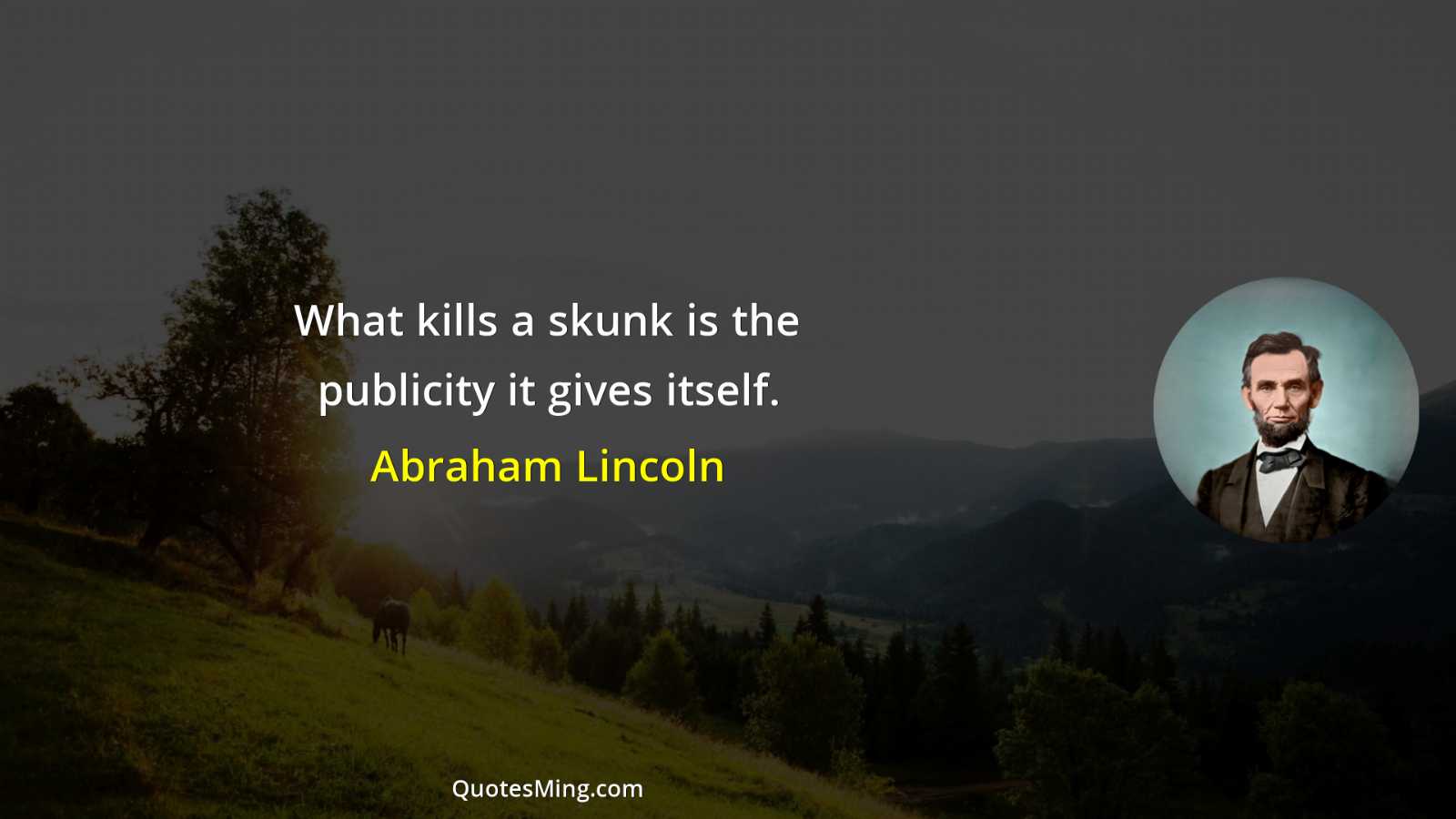 What kills a skunk is the publicity it gives itself