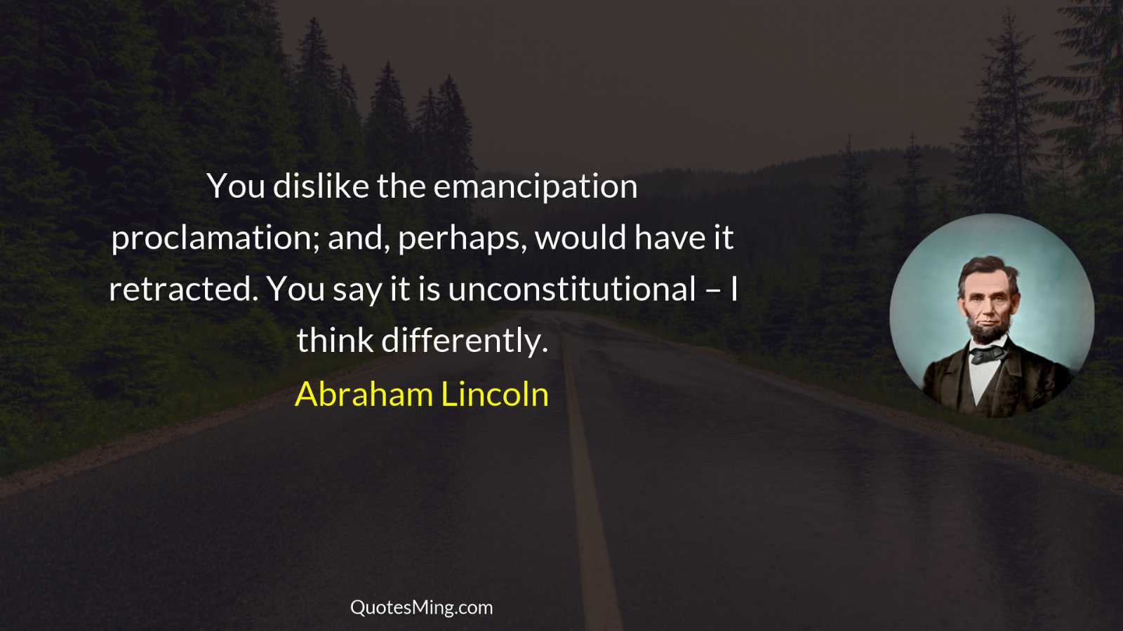 You dislike the emancipation proclamation; and perhaps would have it