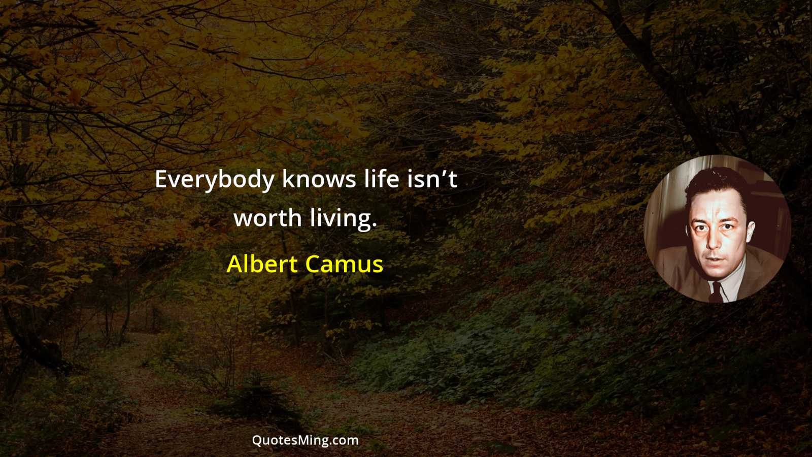 Everybody knows life isn’t worth living