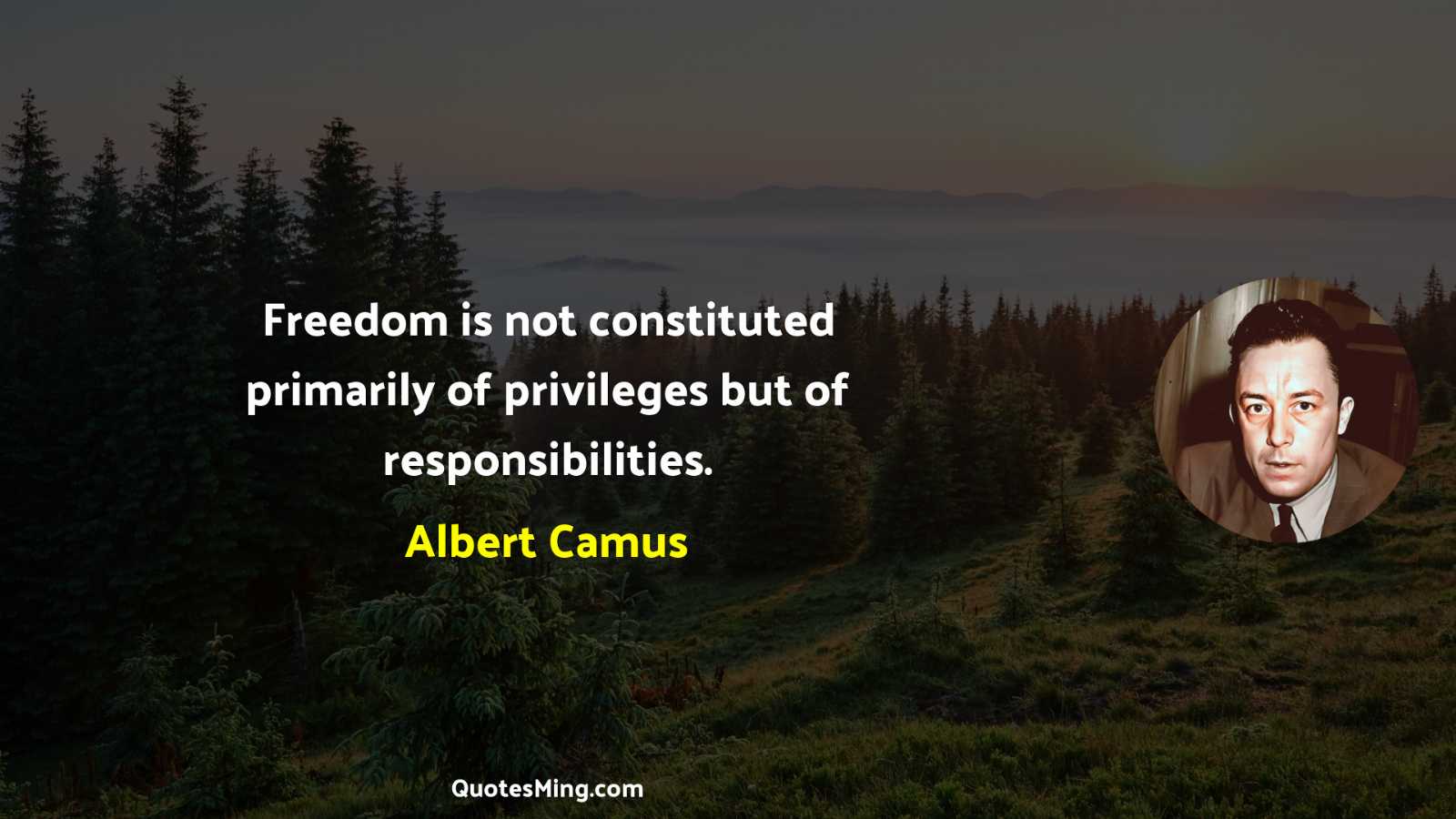 Freedom is not constituted primarily of privileges but of responsibilities