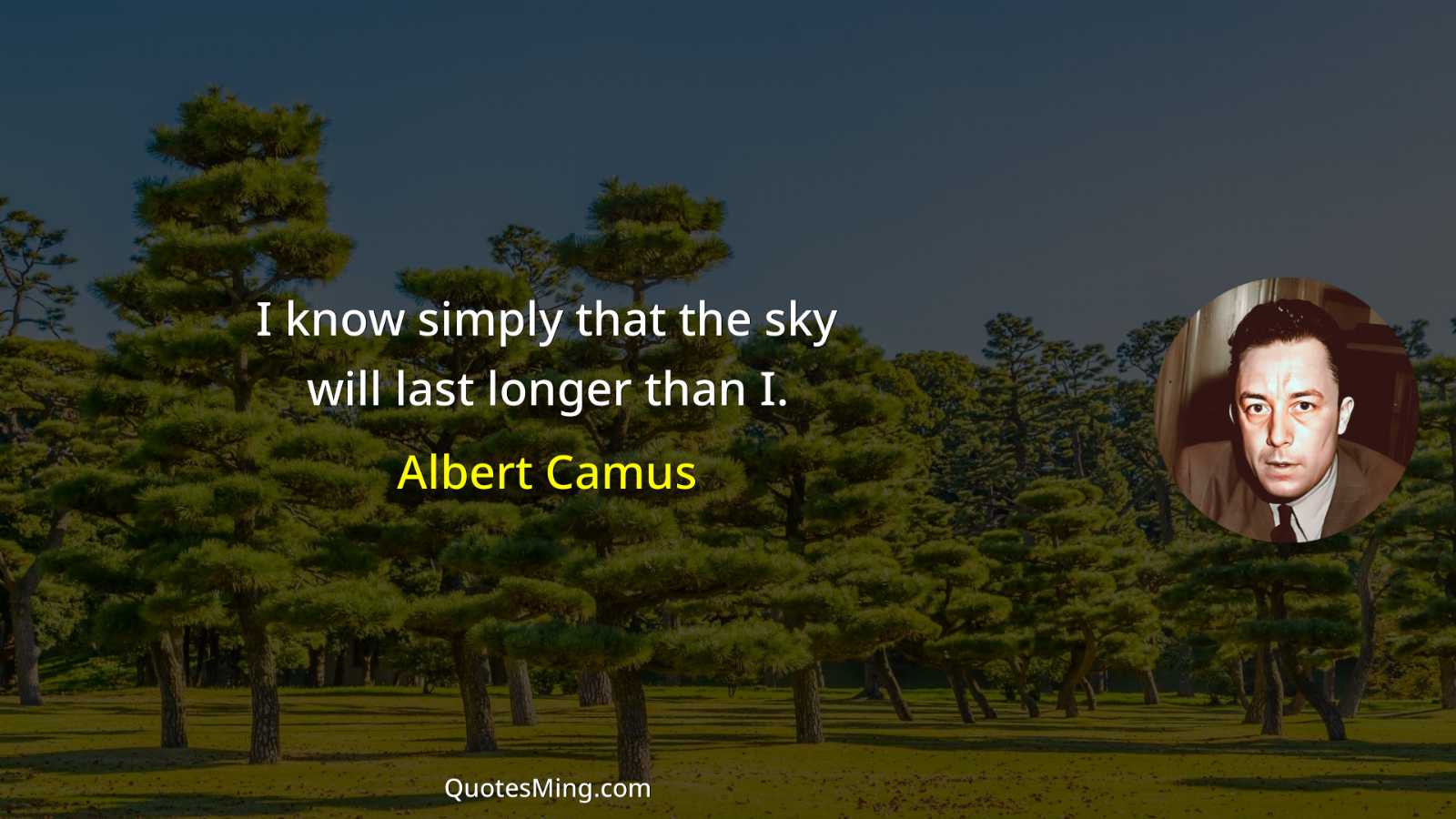 I know simply that the sky will last longer than