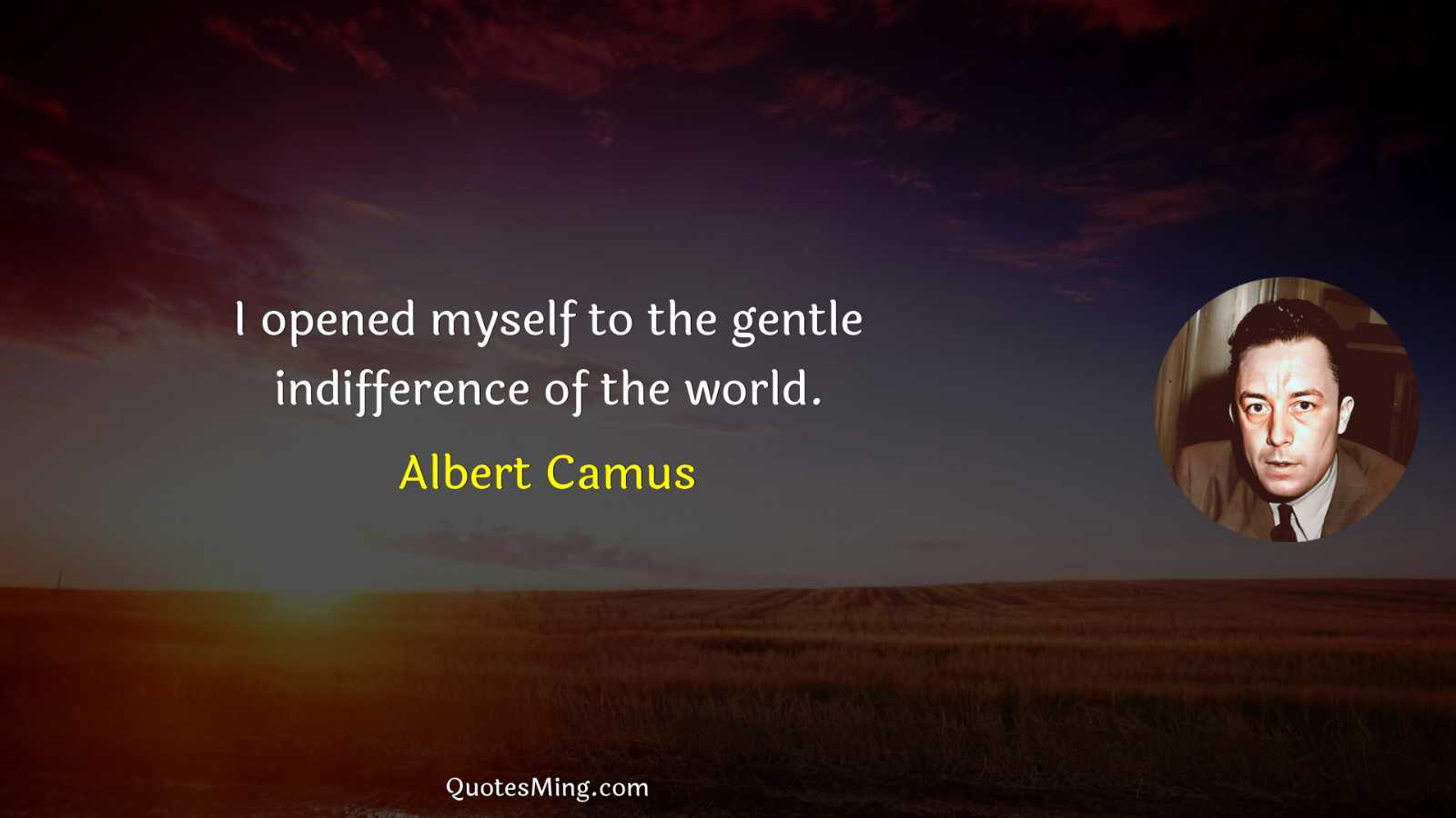 I opened myself to the gentle indifference of the world