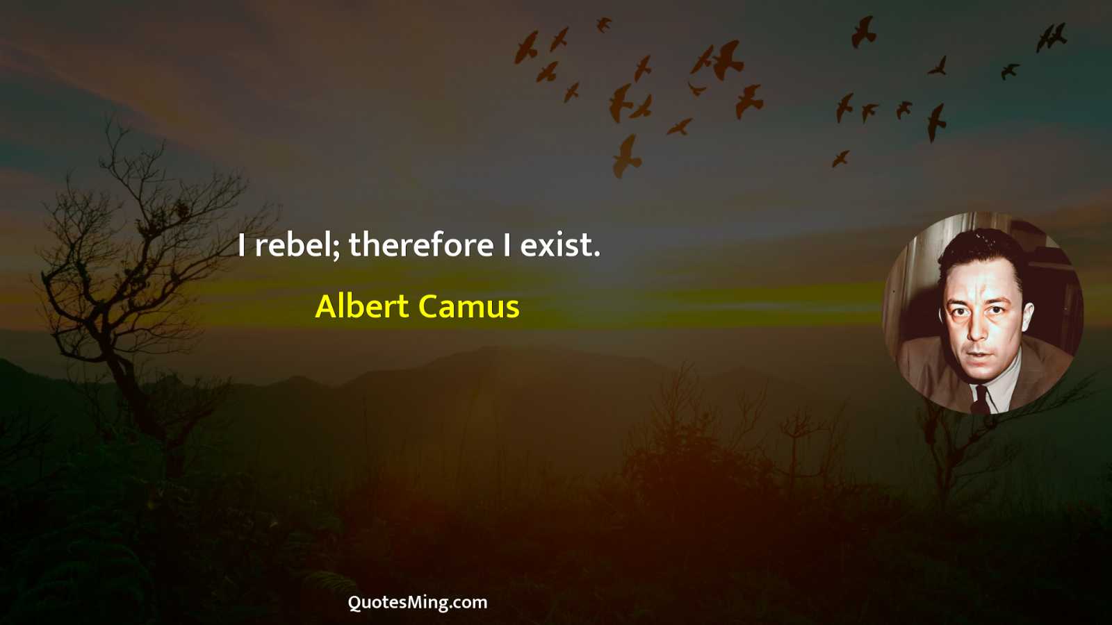 I rebel; therefore I exist