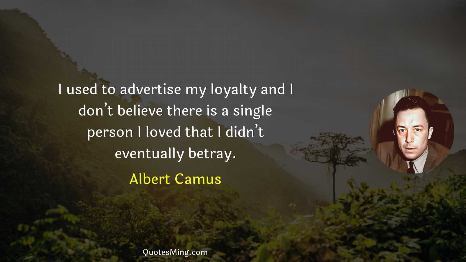 I used to advertise my loyalty and I don’t believe