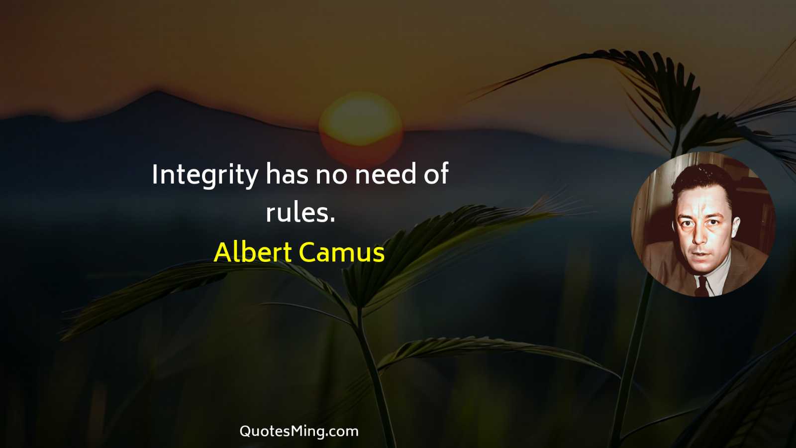 Integrity has no need of rules