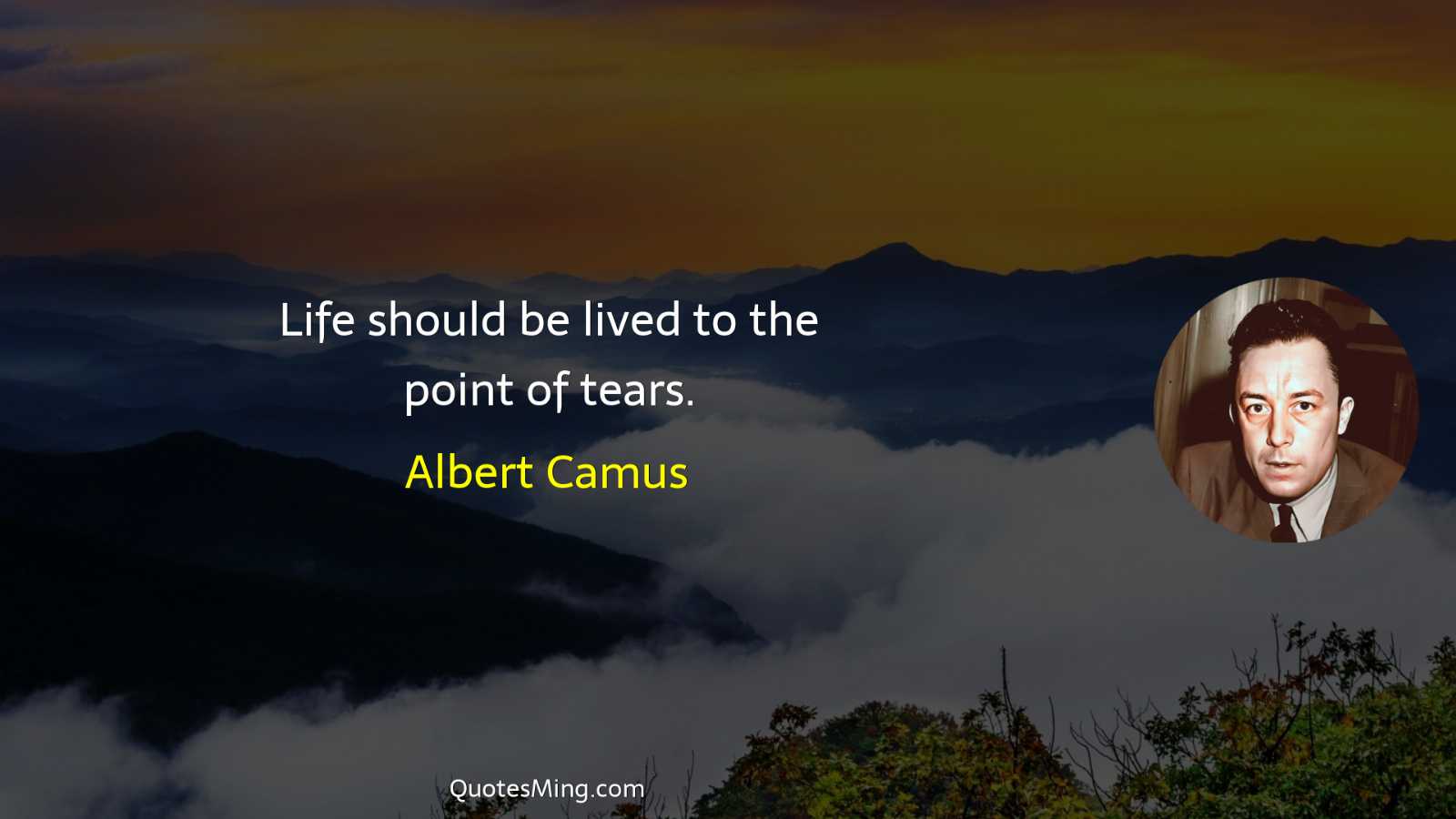 Life should be lived to the point of tears