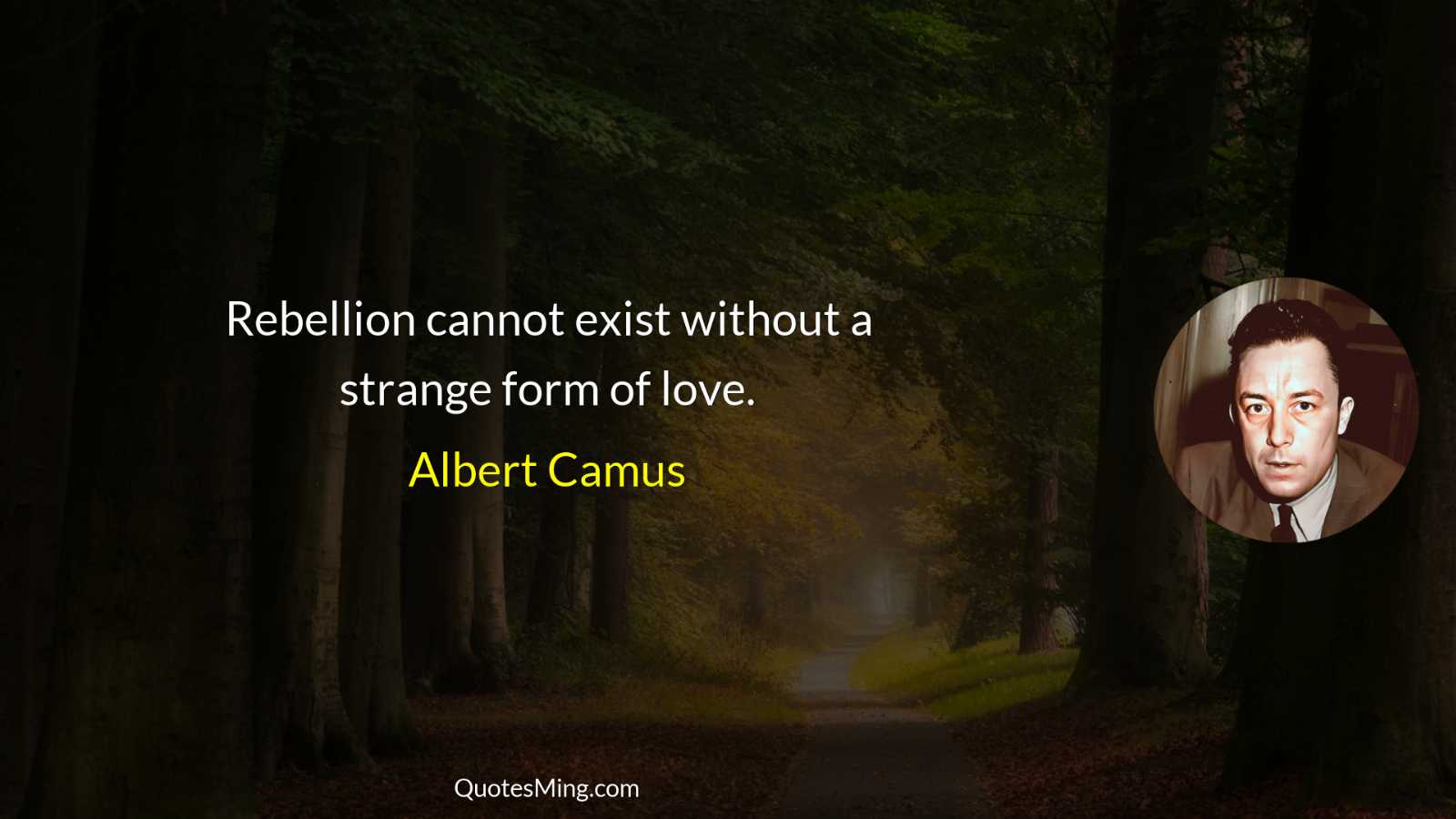 Rebellion cannot exist without a strange form of love