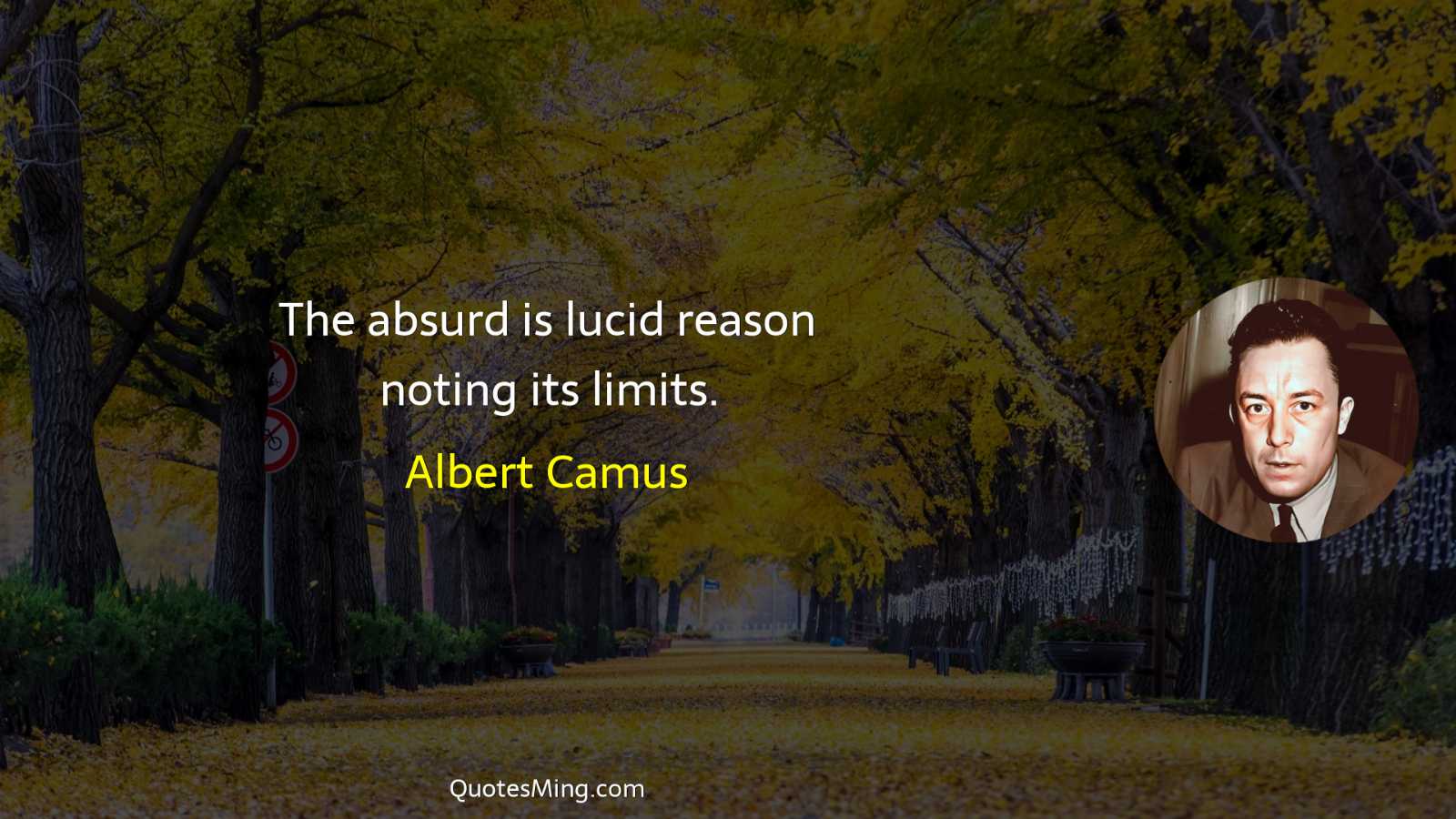 The absurd is lucid reason noting its limits