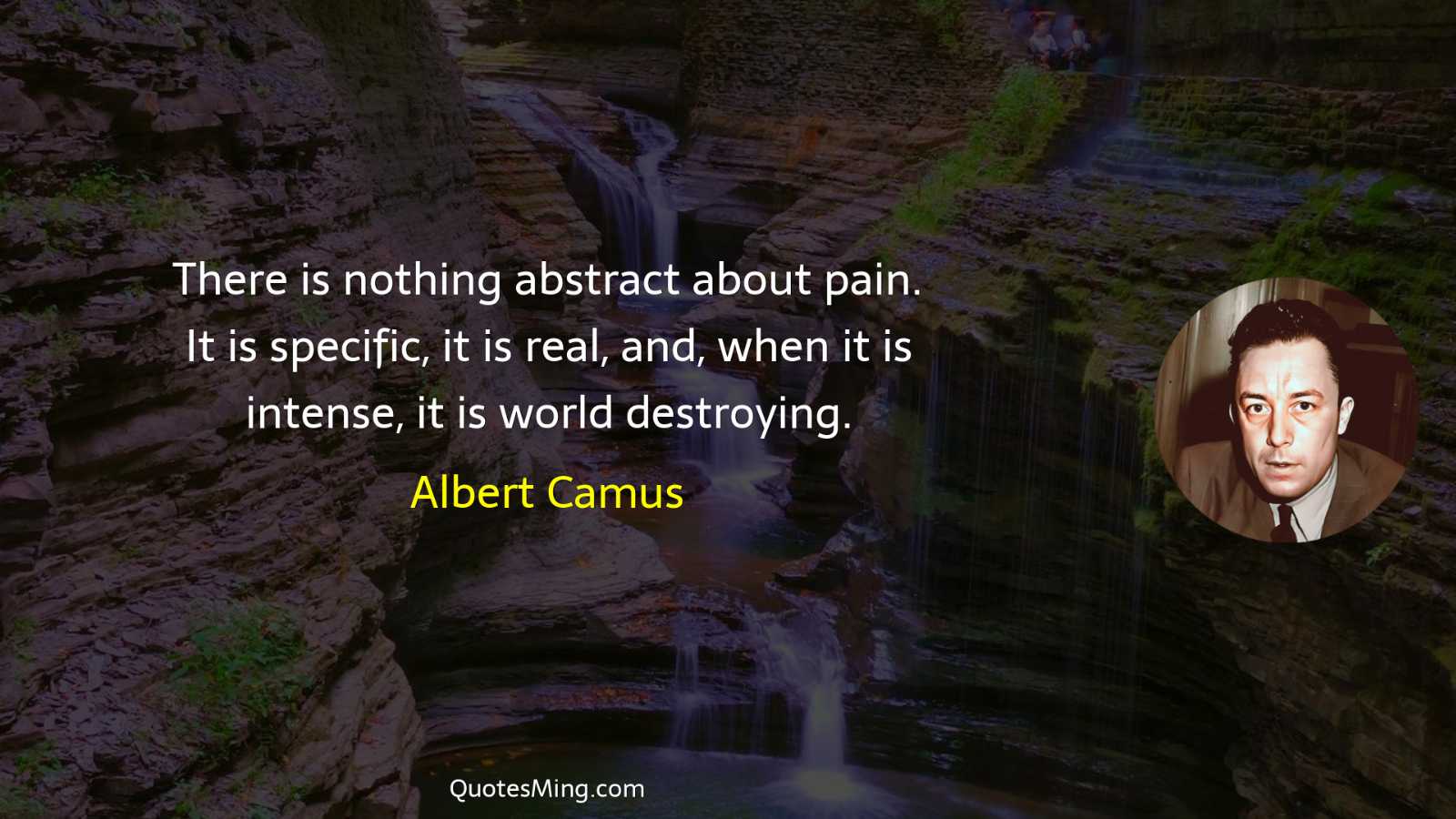 There is nothing abstract about pain It is specific it