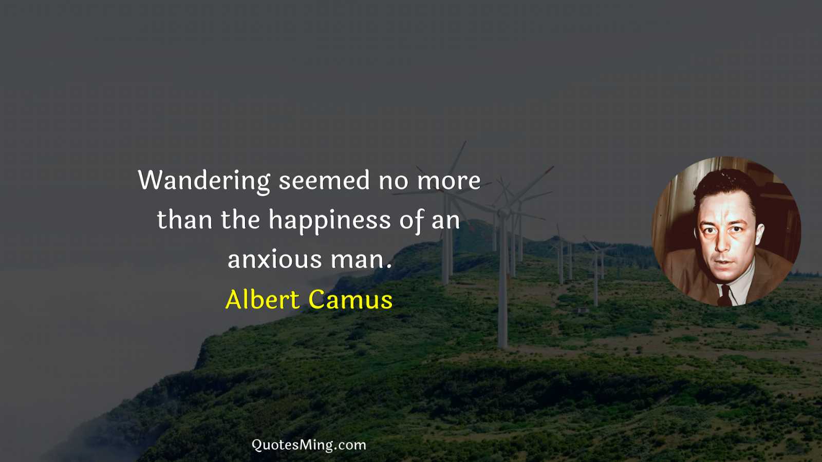 Wandering seemed no more than the happiness of an anxious