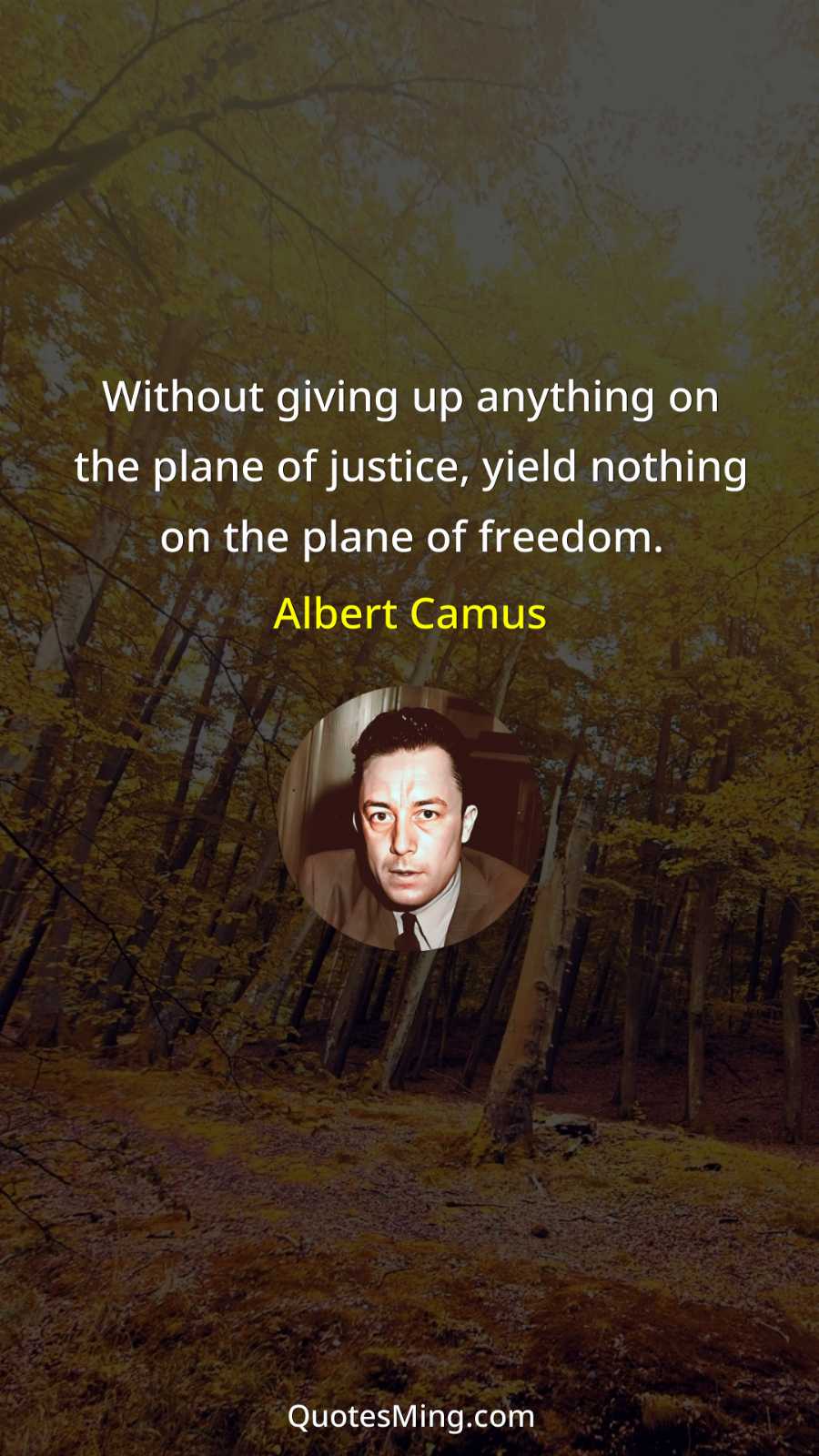 Without giving up anything on the plane of justice yield