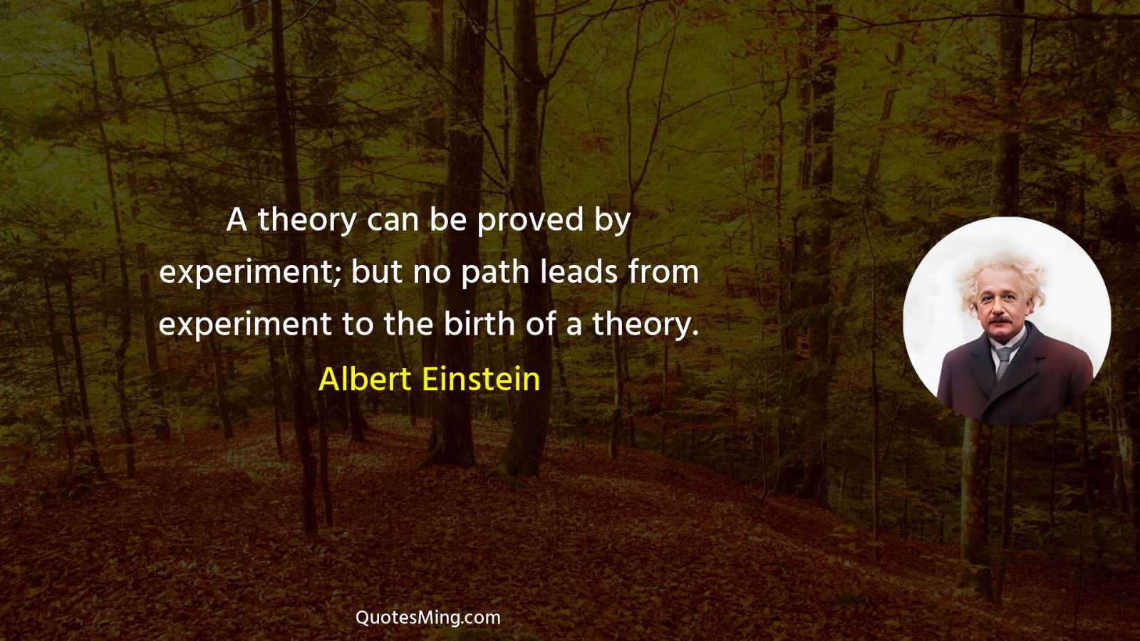 A theory can be proved by experiment; but no path