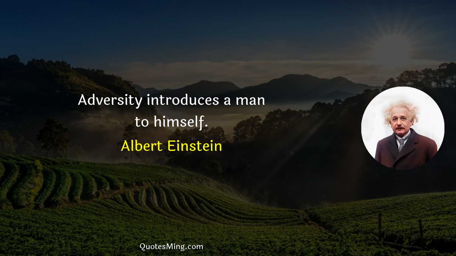 Adversity introduces a man to himself