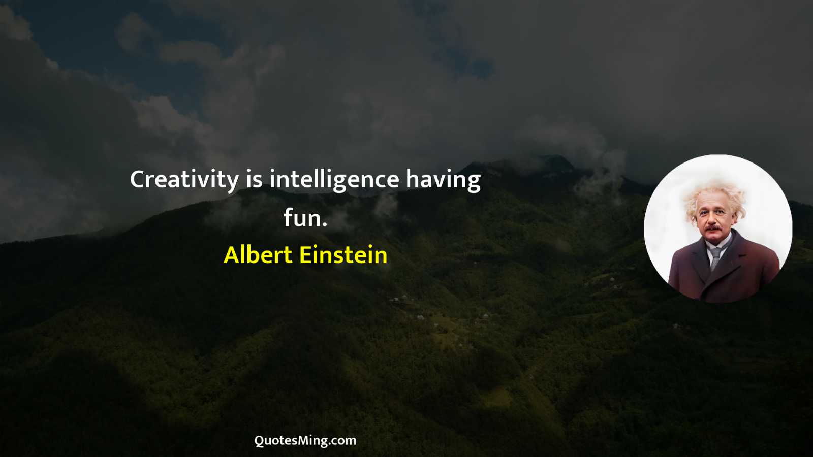 Creativity is intelligence having fun