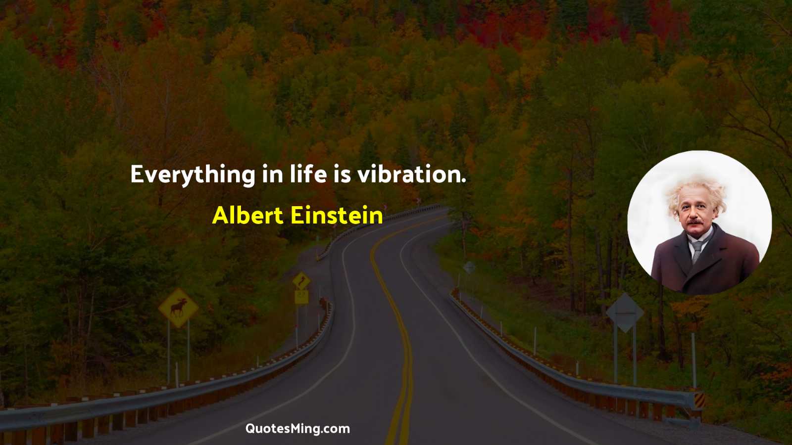 Everything in life is vibration