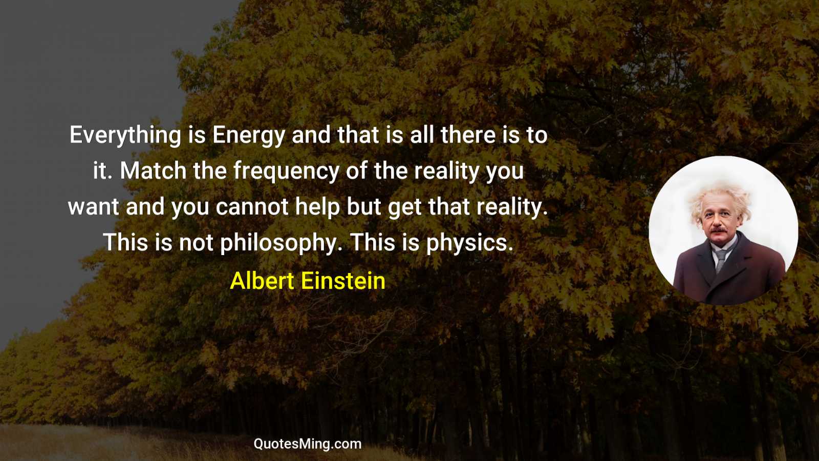 Everything is Energy and that is all there is to