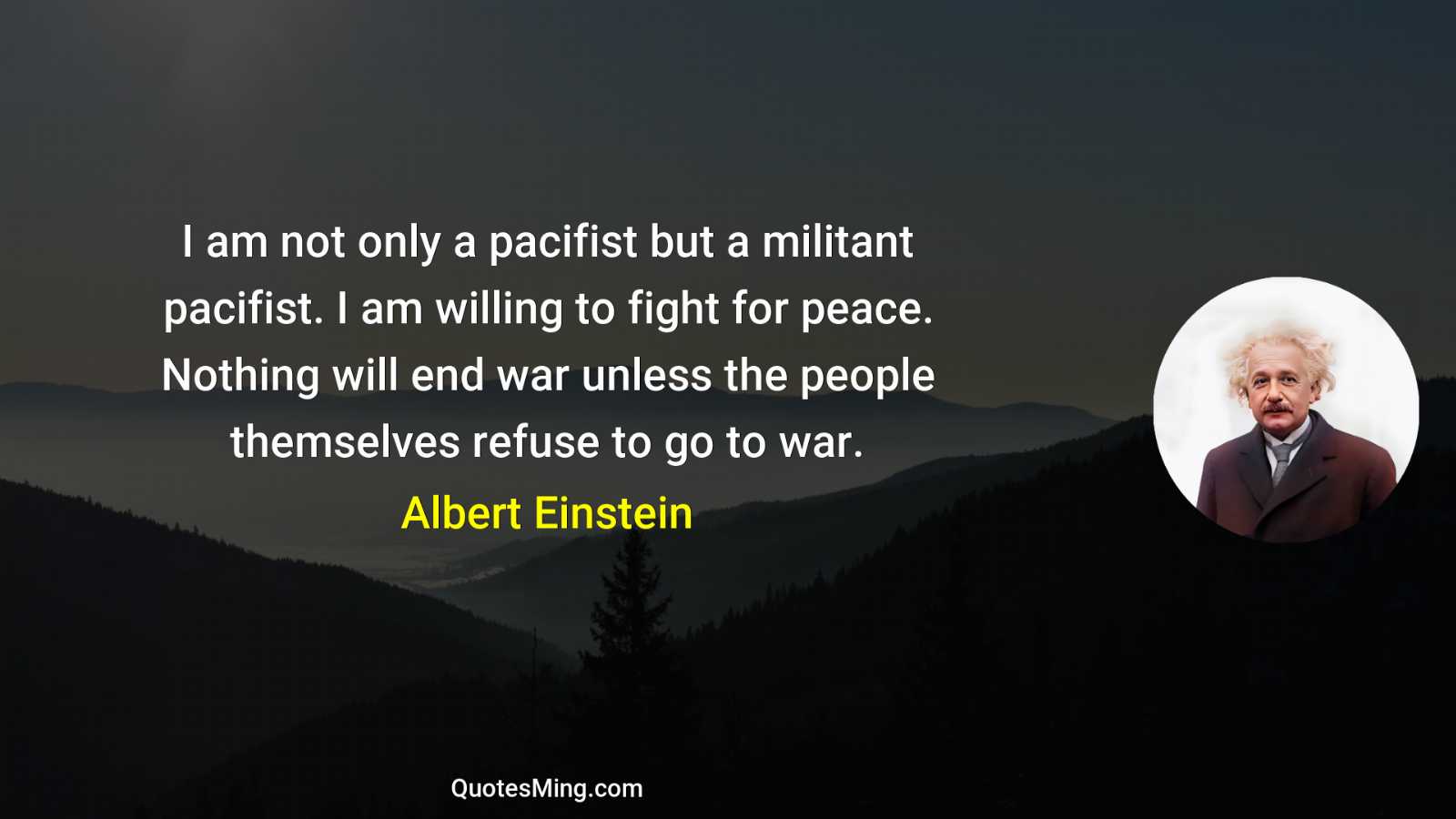 I am not only a pacifist but a militant pacifist