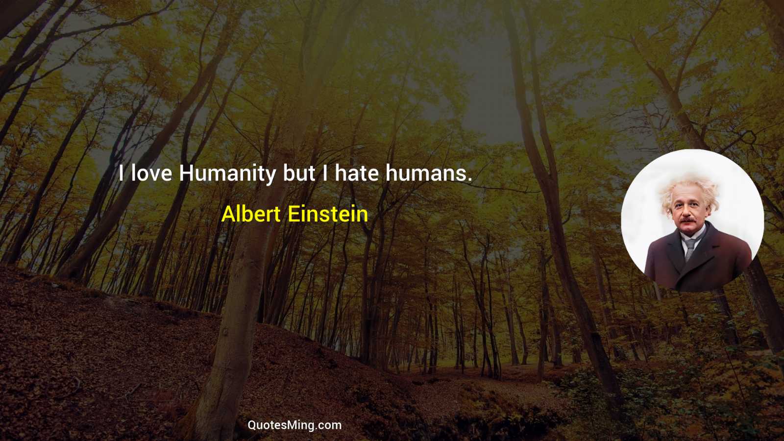 I love Humanity but I hate humans