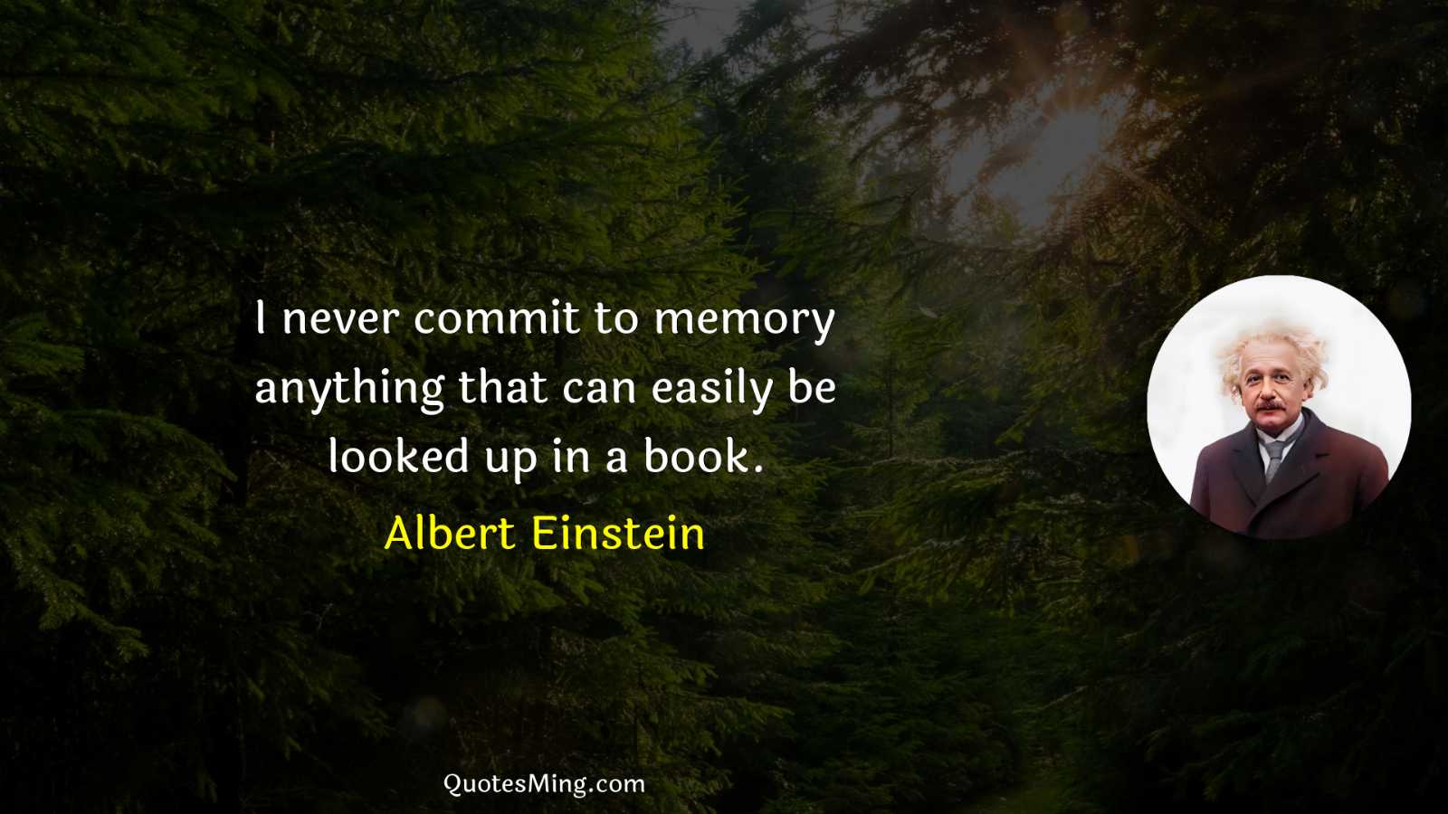 I never commit to memory anything that can easily be