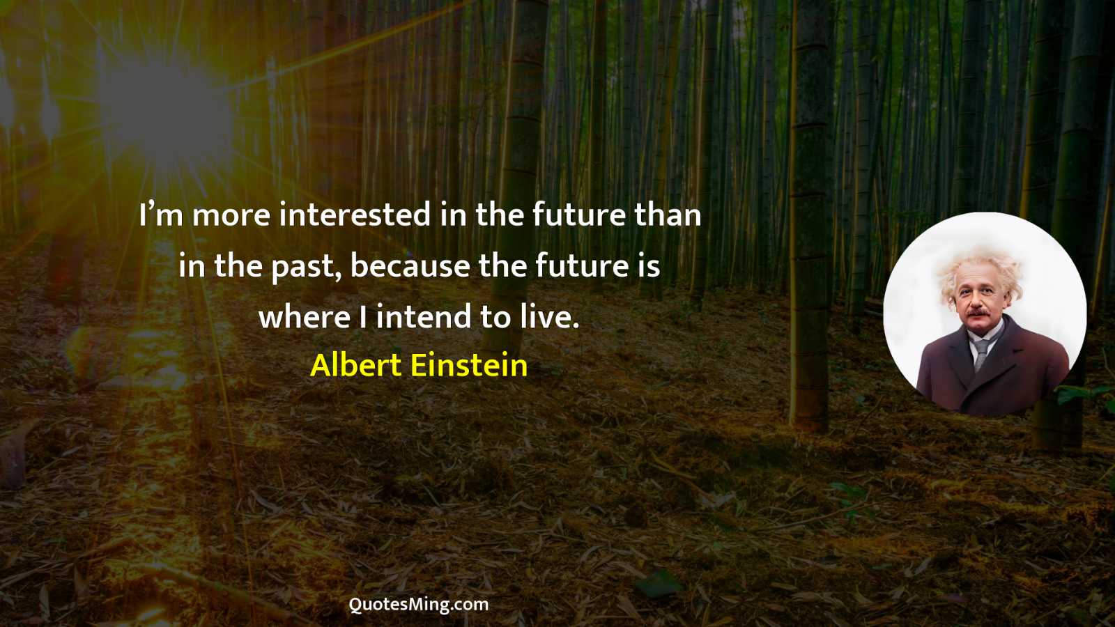 I’m more interested in the future than in the past