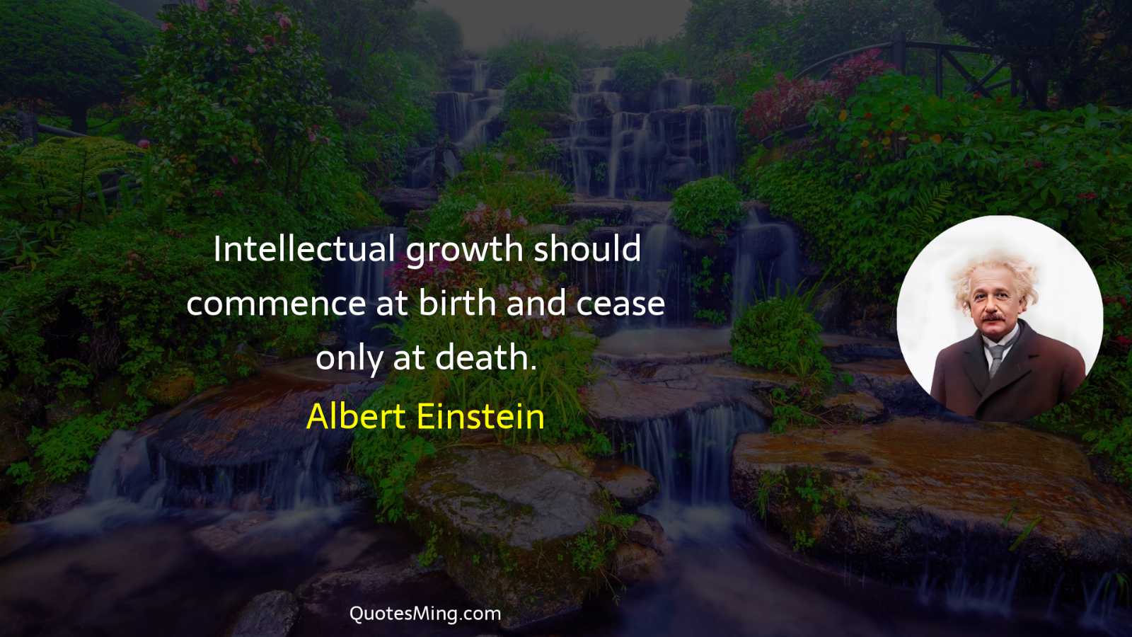 Intellectual growth should commence at birth and cease only at