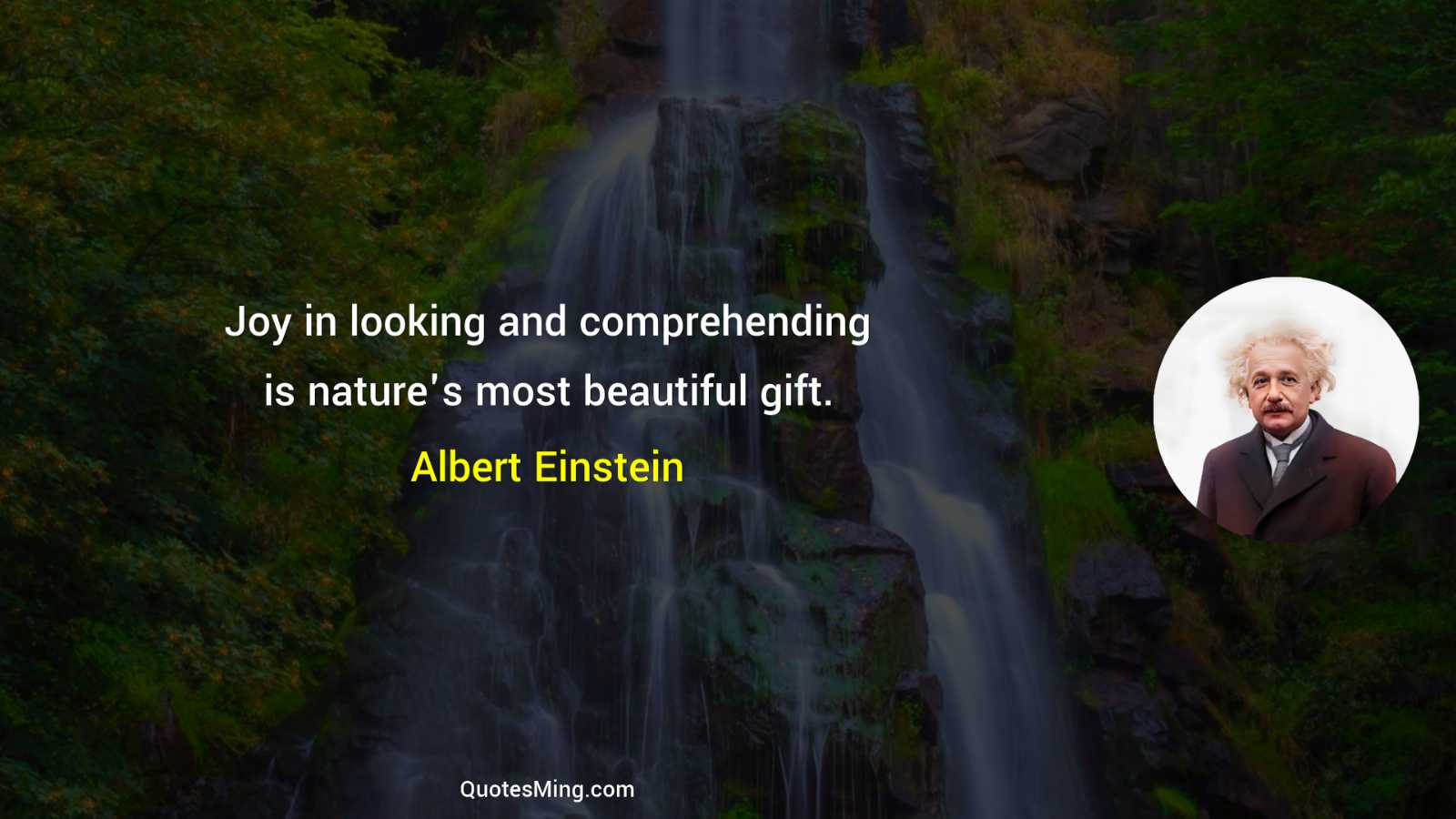 Joy in looking and comprehending is nature's most beautiful gift