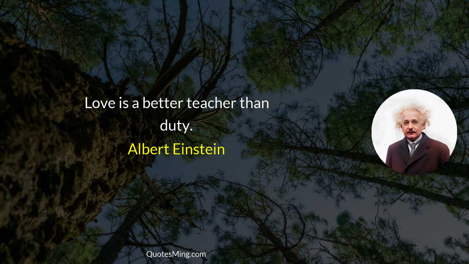 Love is a better teacher than duty