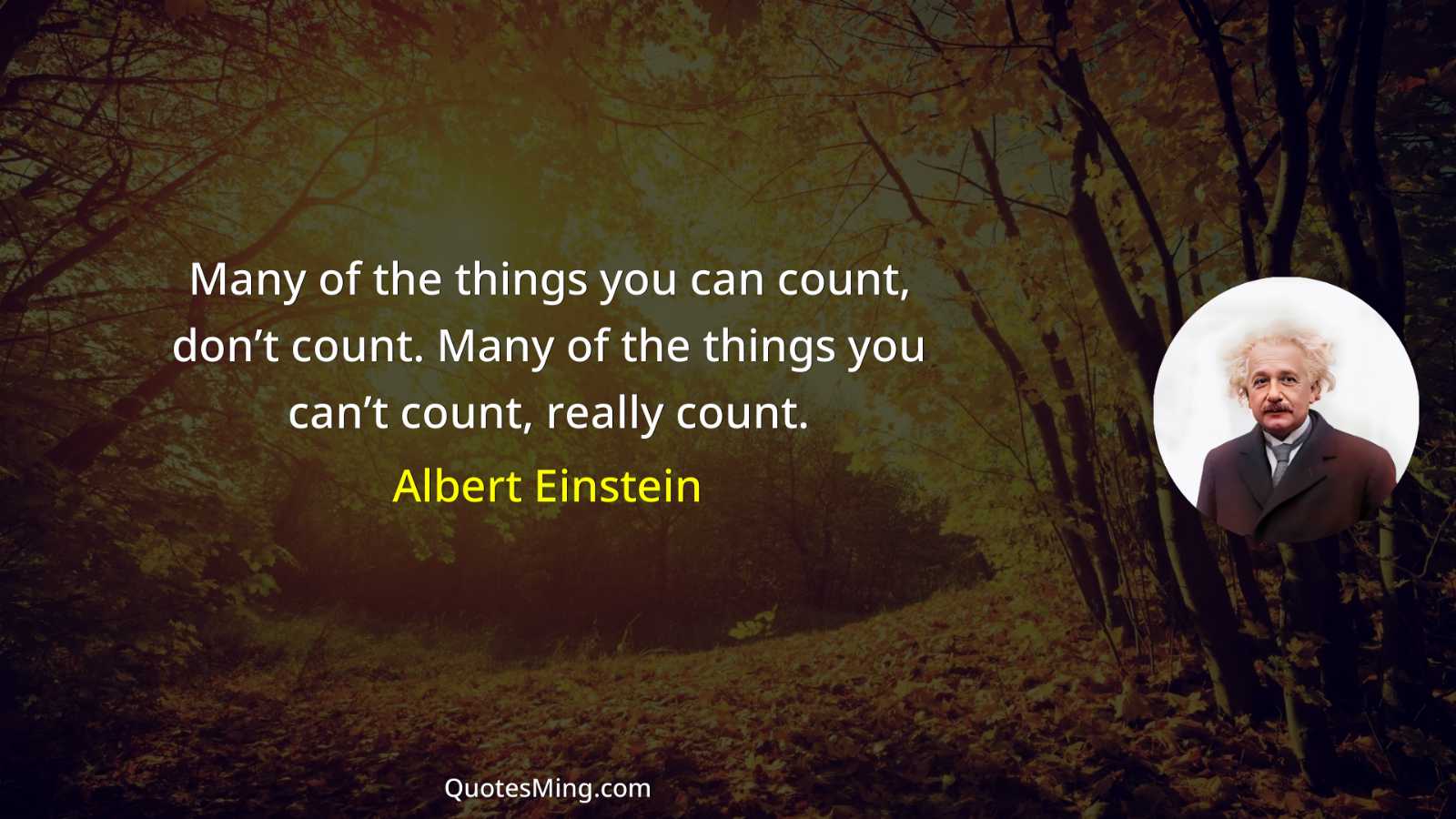 Many of the things you can count don’t count Many