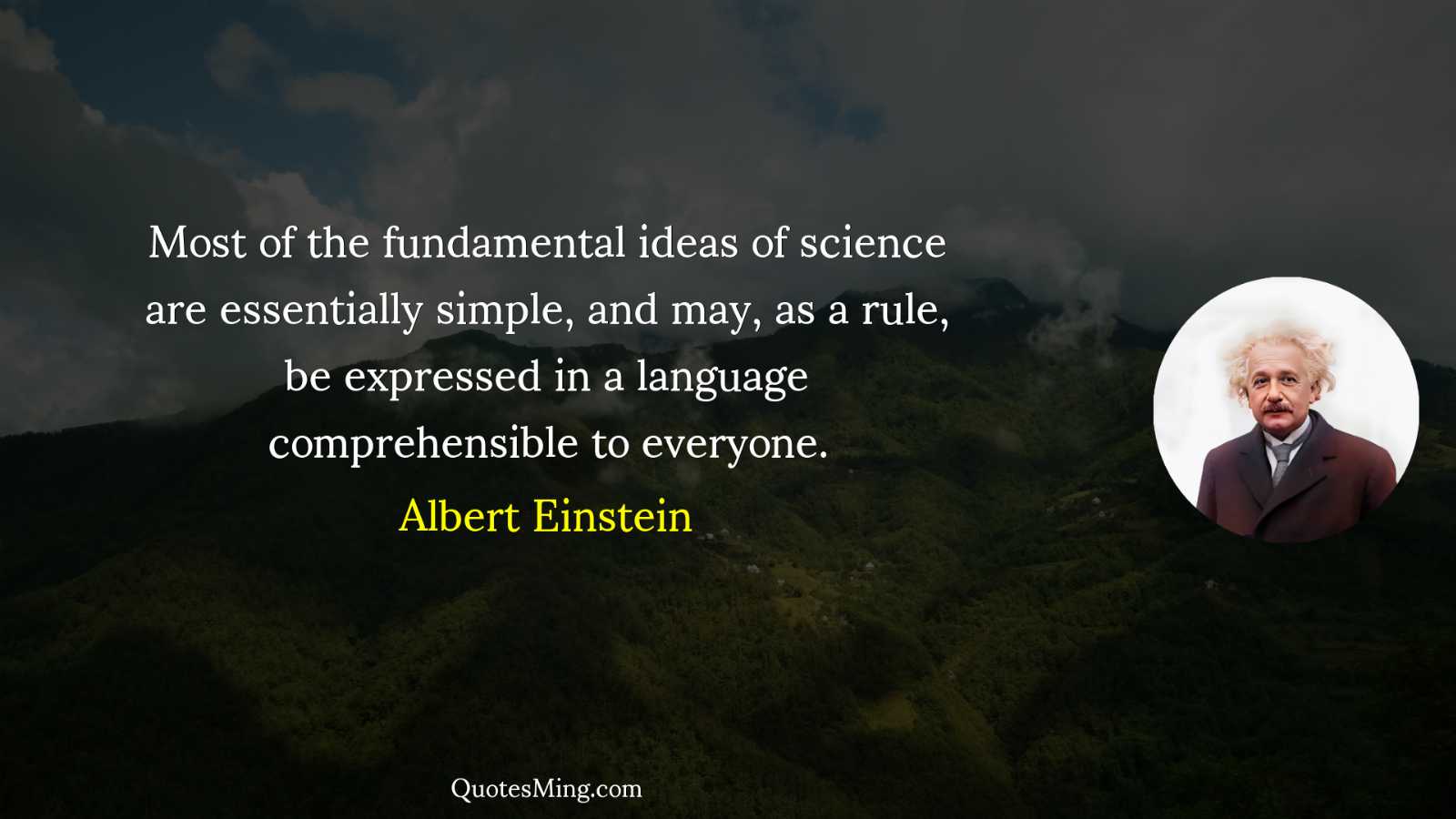 Most of the fundamental ideas of science are essentially simple