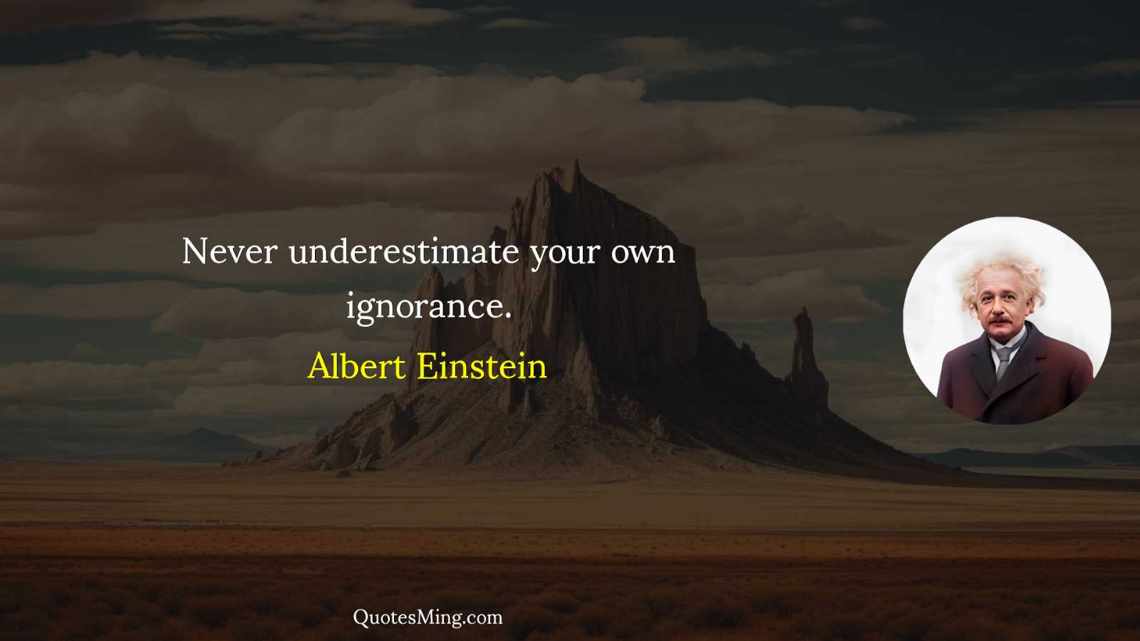 Never underestimate your own ignorance