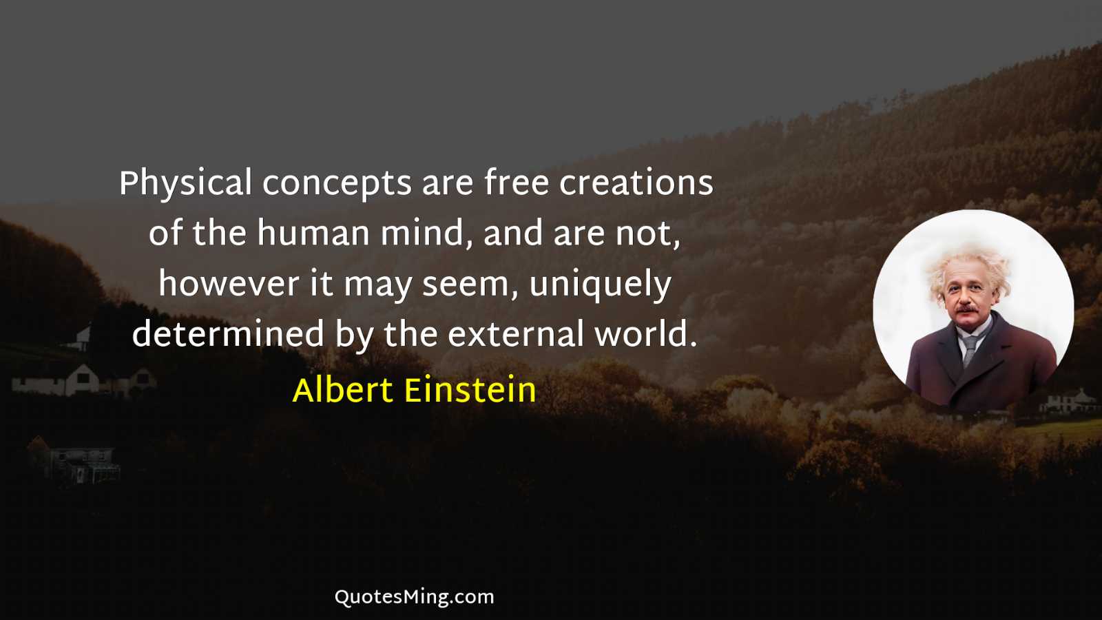 Physical concepts are free creations of the human mind and