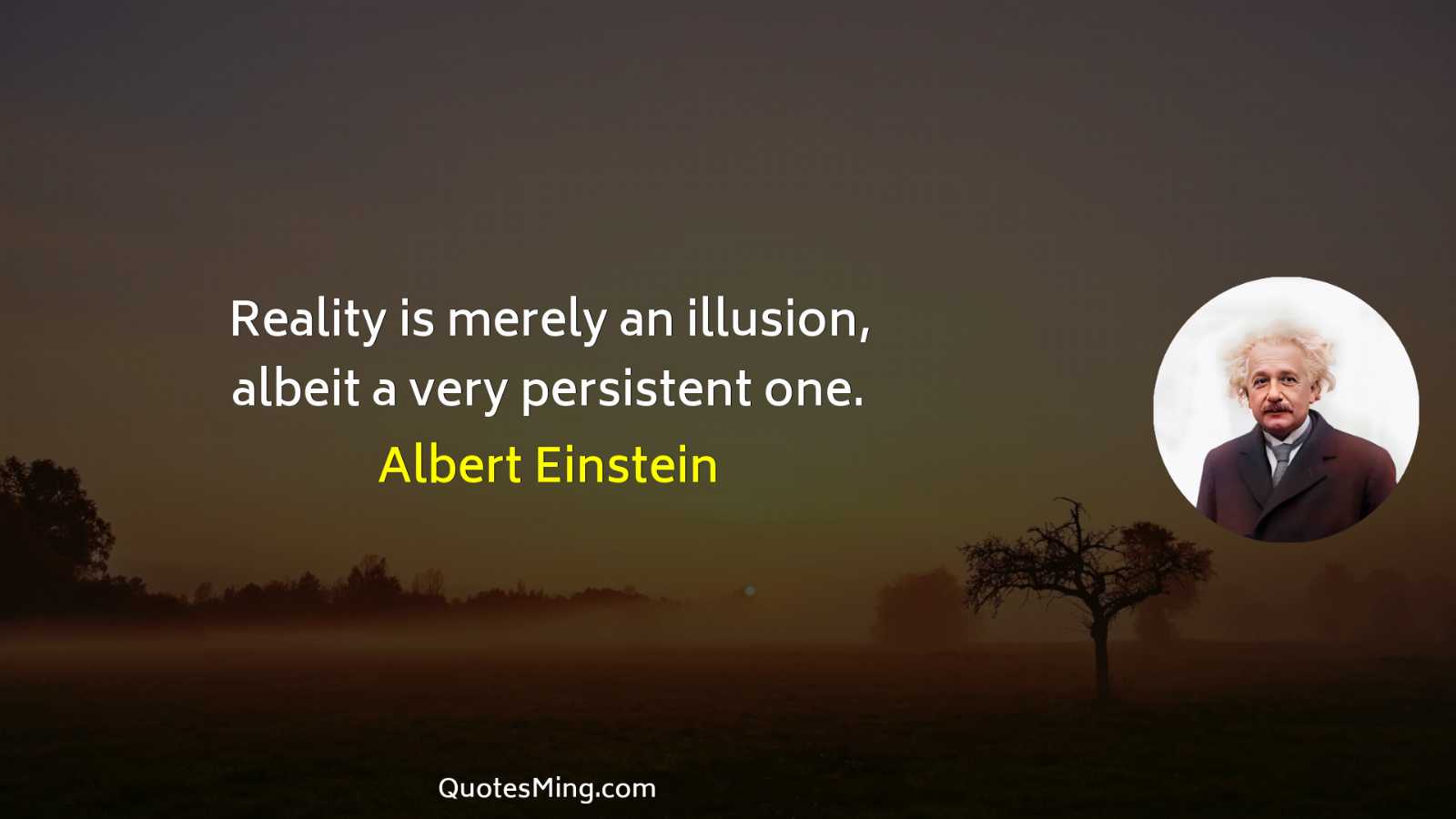 Reality is merely an illusion albeit a very persistent one