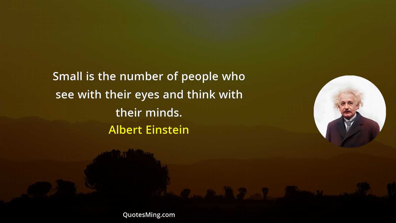 Small is the number of people who see with their