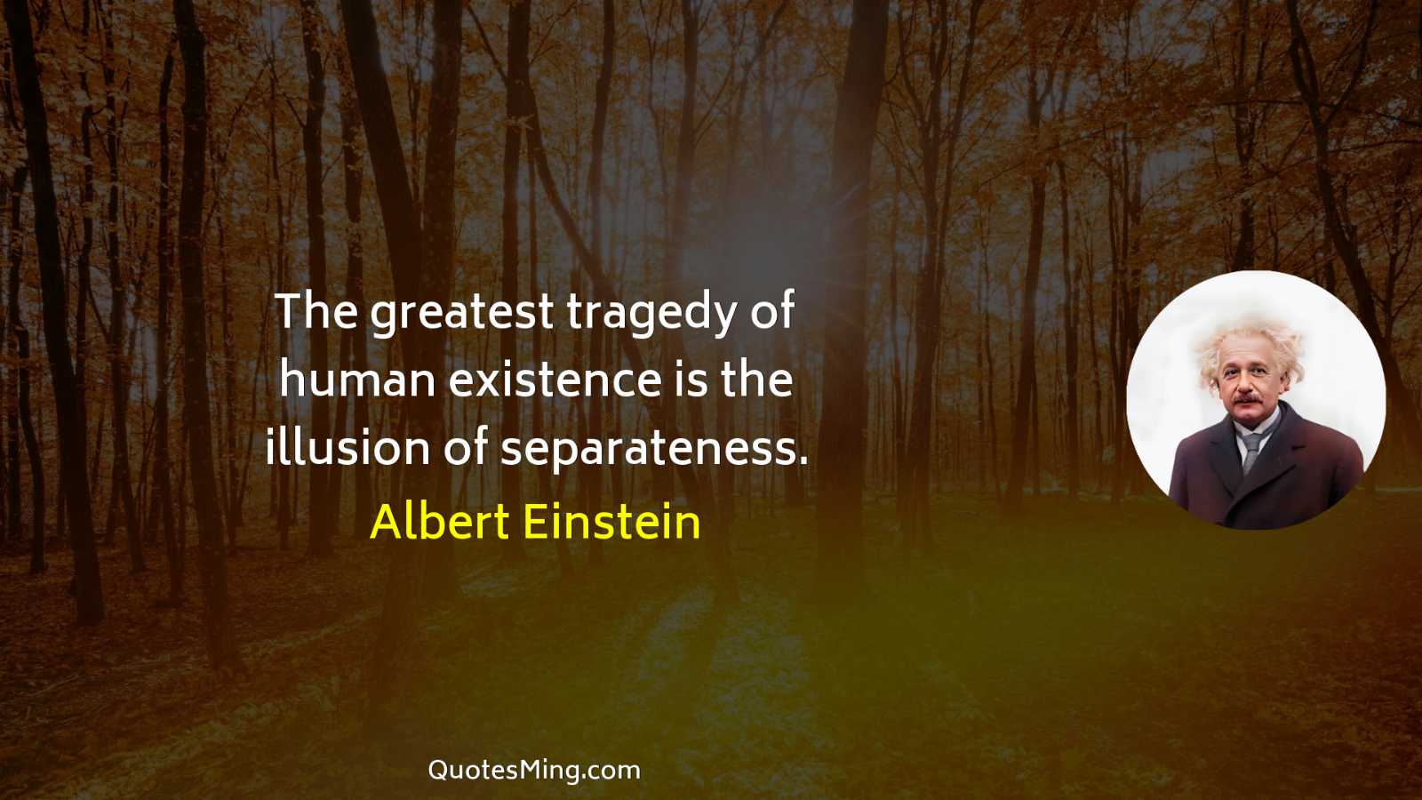 The greatest tragedy of human existence is the illusion of