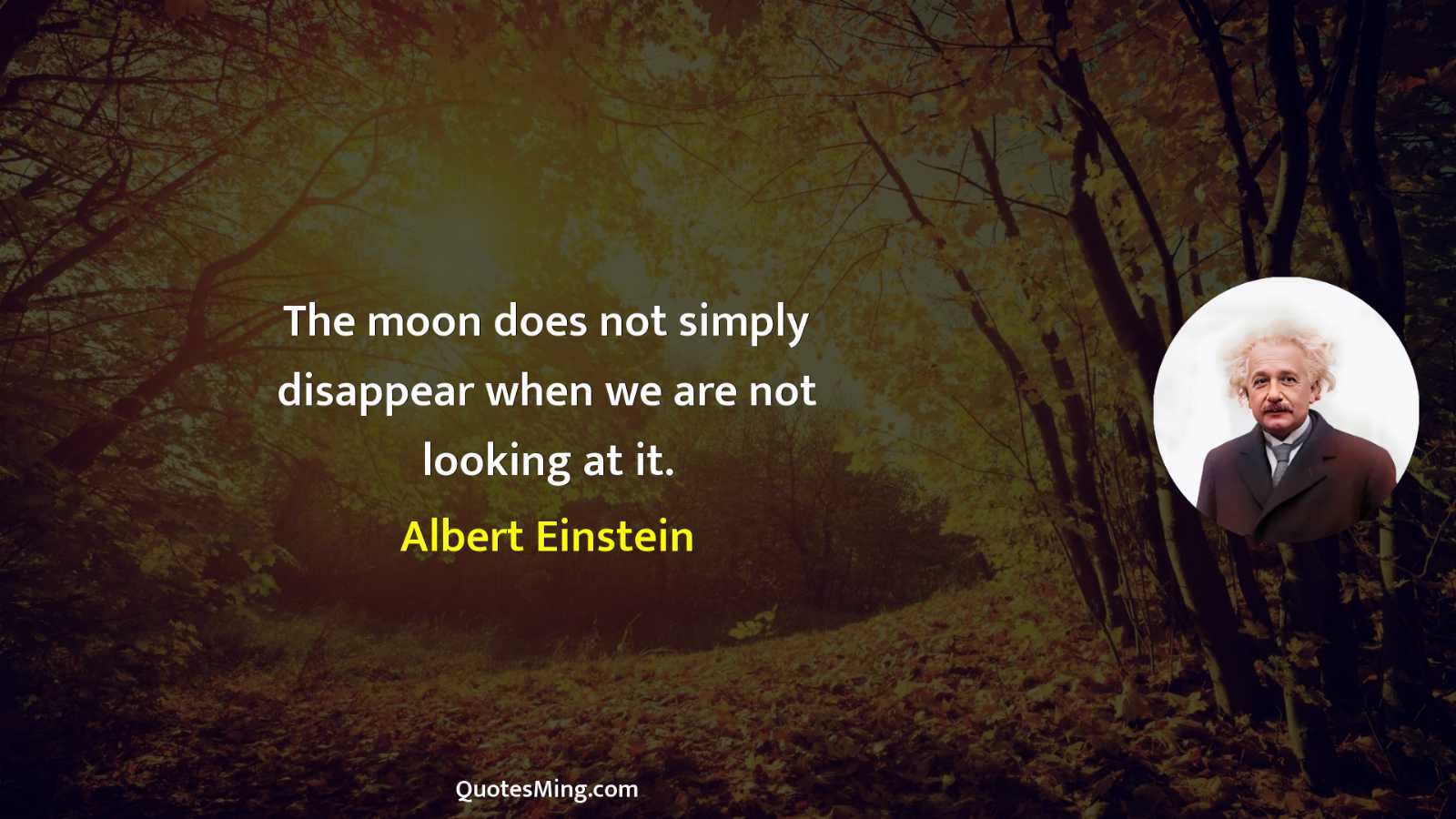 The moon does not simply disappear when we are not