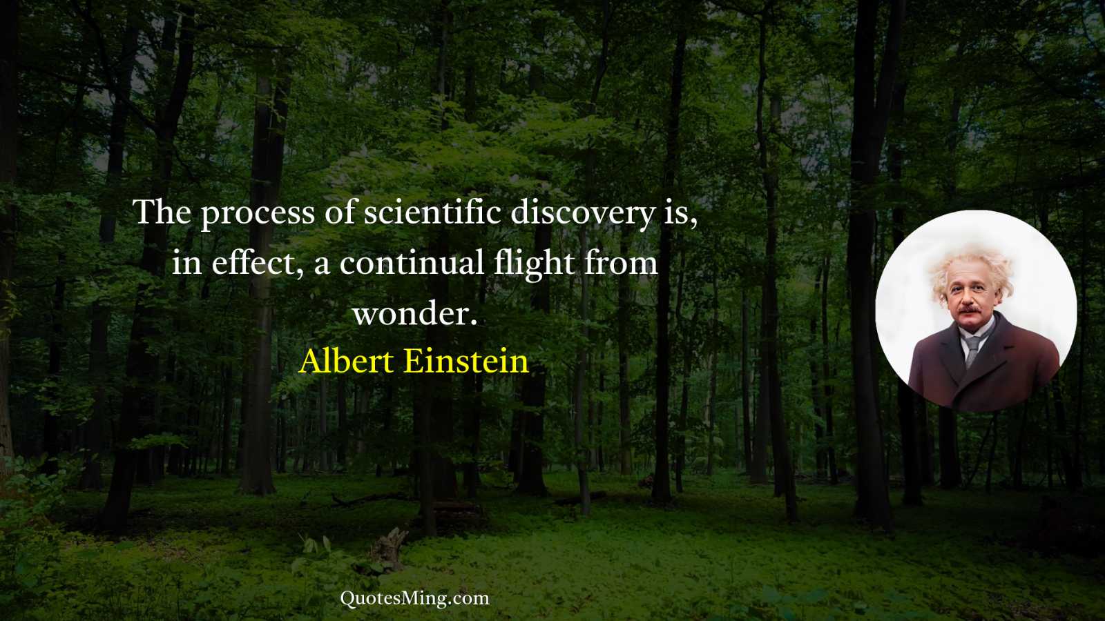 The process of scientific discovery is in effect a continual