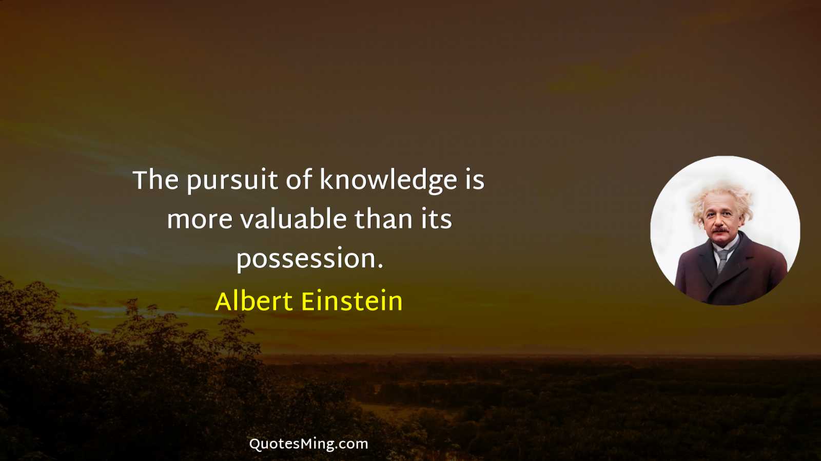 The pursuit of knowledge is more valuable than its possession