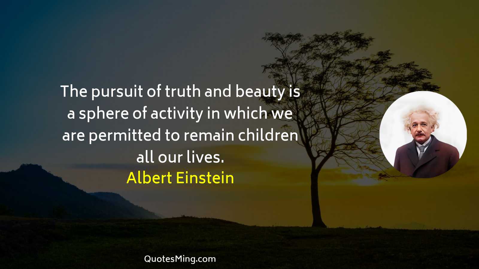 The pursuit of truth and beauty is a sphere of