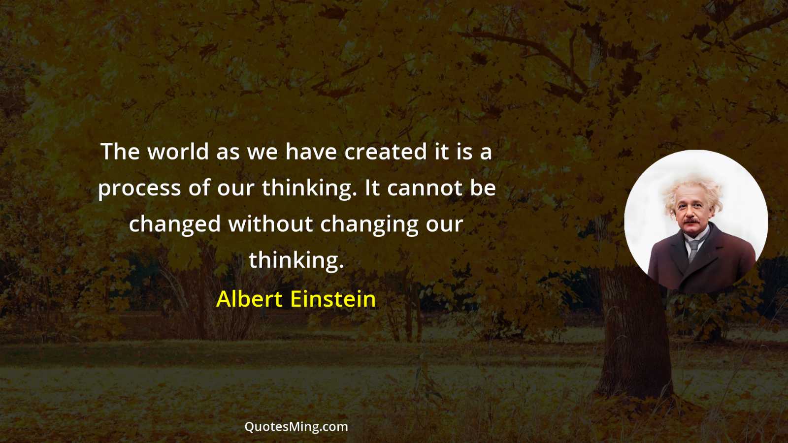 The world as we have created it is a process