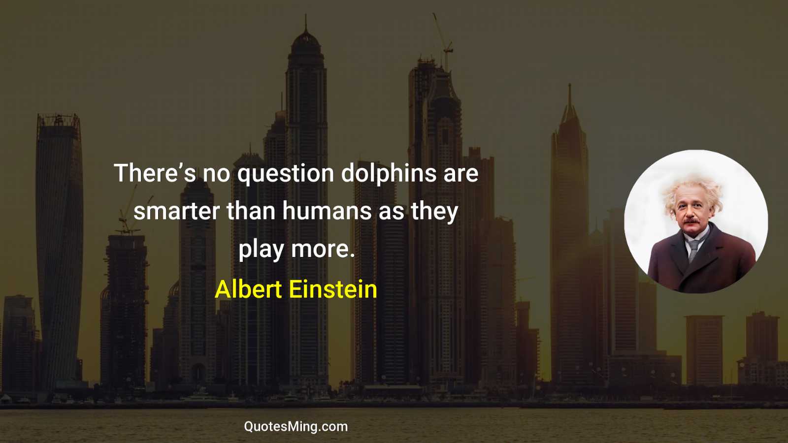 There’s no question dolphins are smarter than humans as they