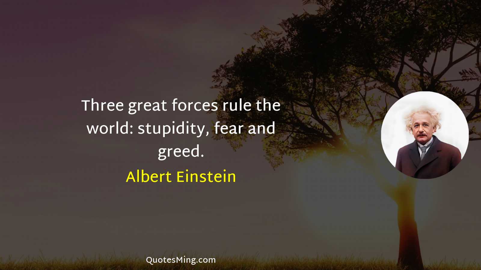 Three great forces rule the world: stupidity fear and greed