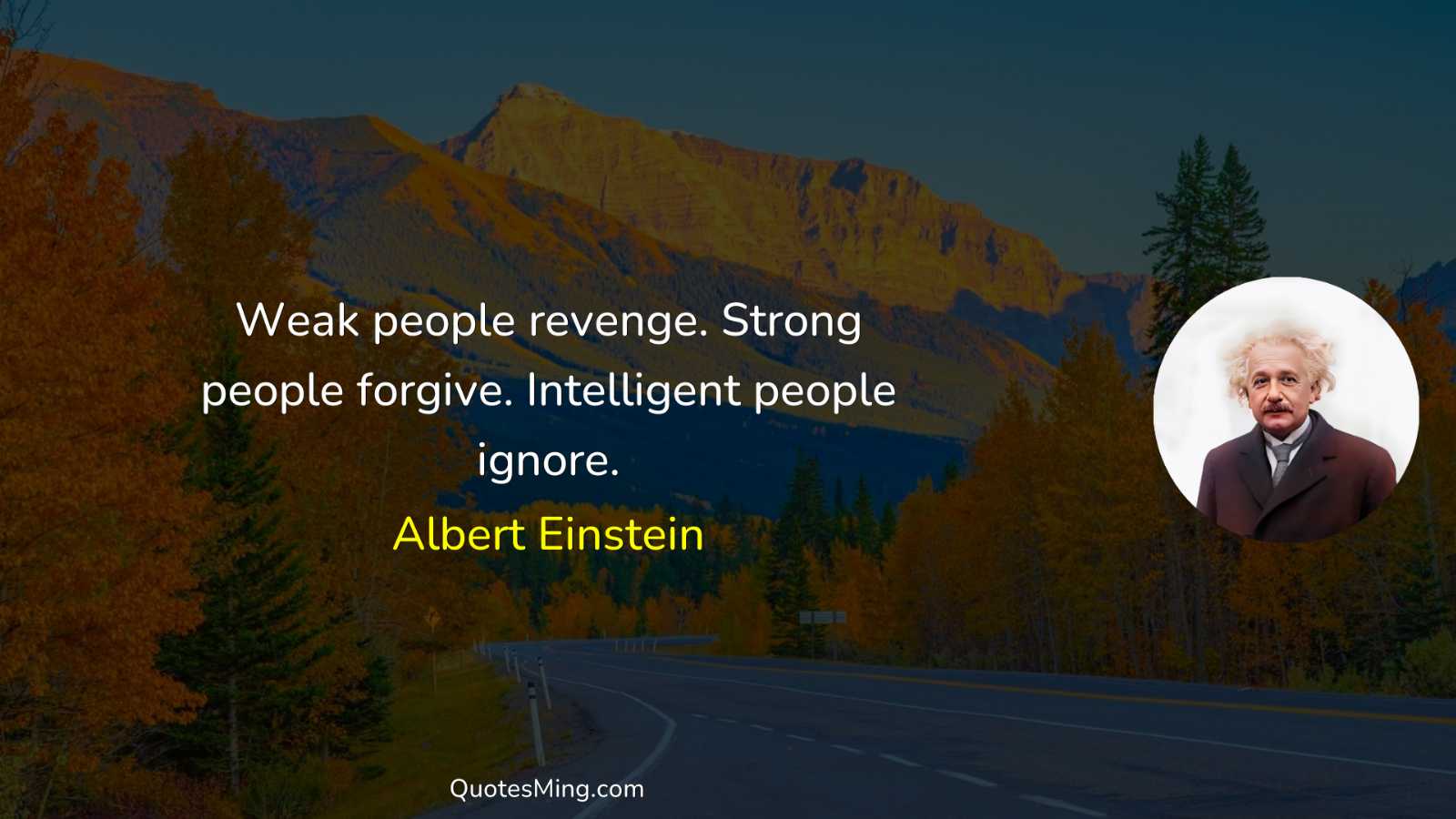 Weak people revenge Strong people forgive Intelligent people ignore