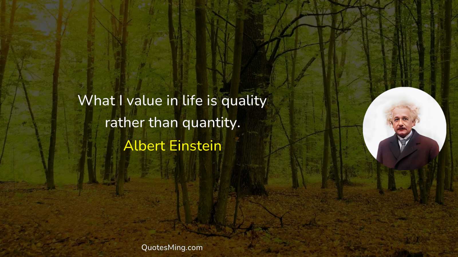 What I value in life is quality rather than quantity