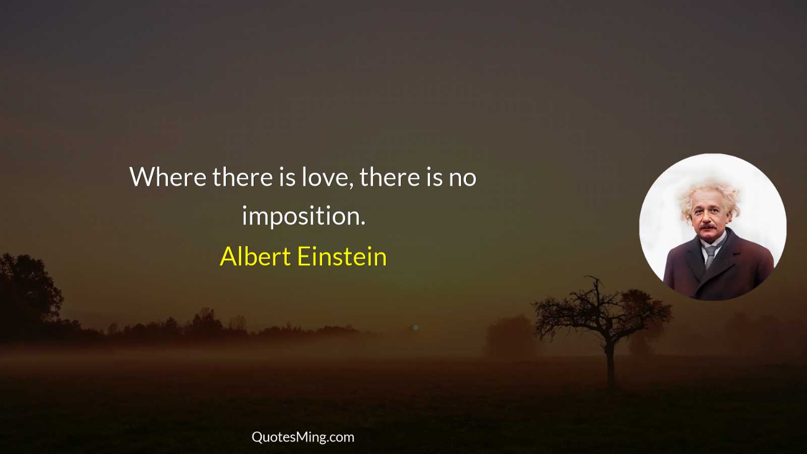 Where there is love there is no imposition