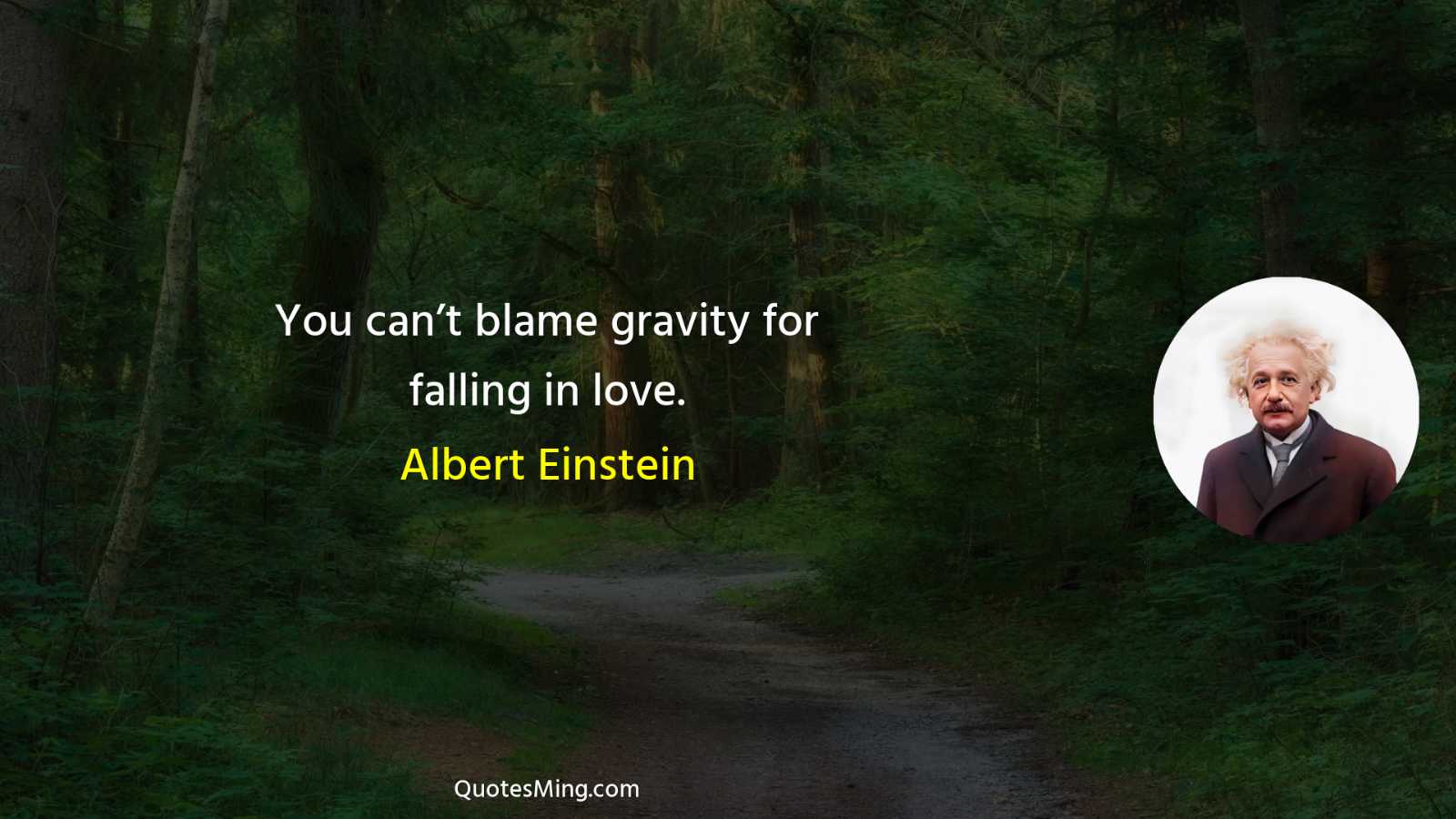 You can’t blame gravity for falling in love