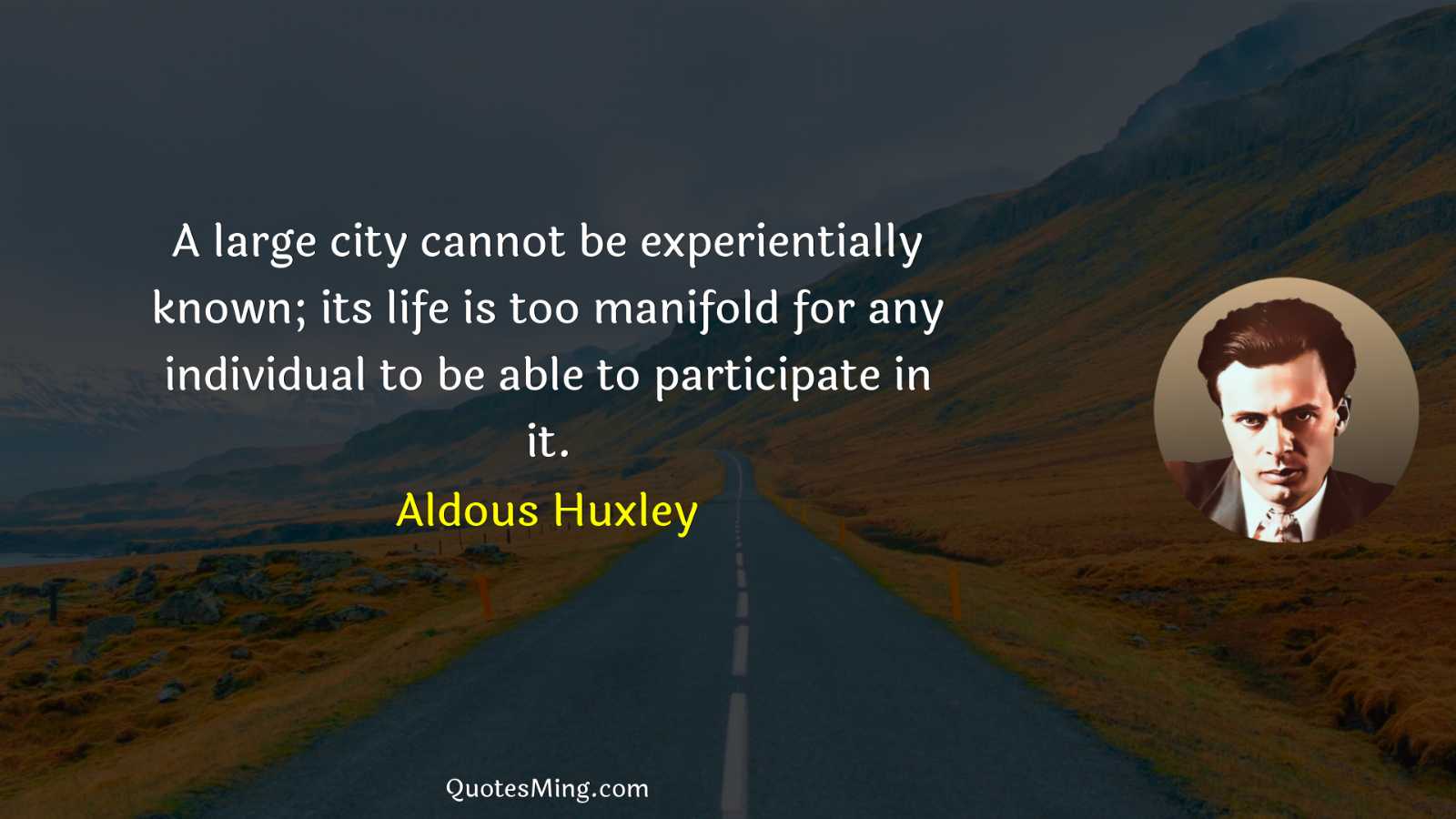 A large city cannot be experientially known; its life is