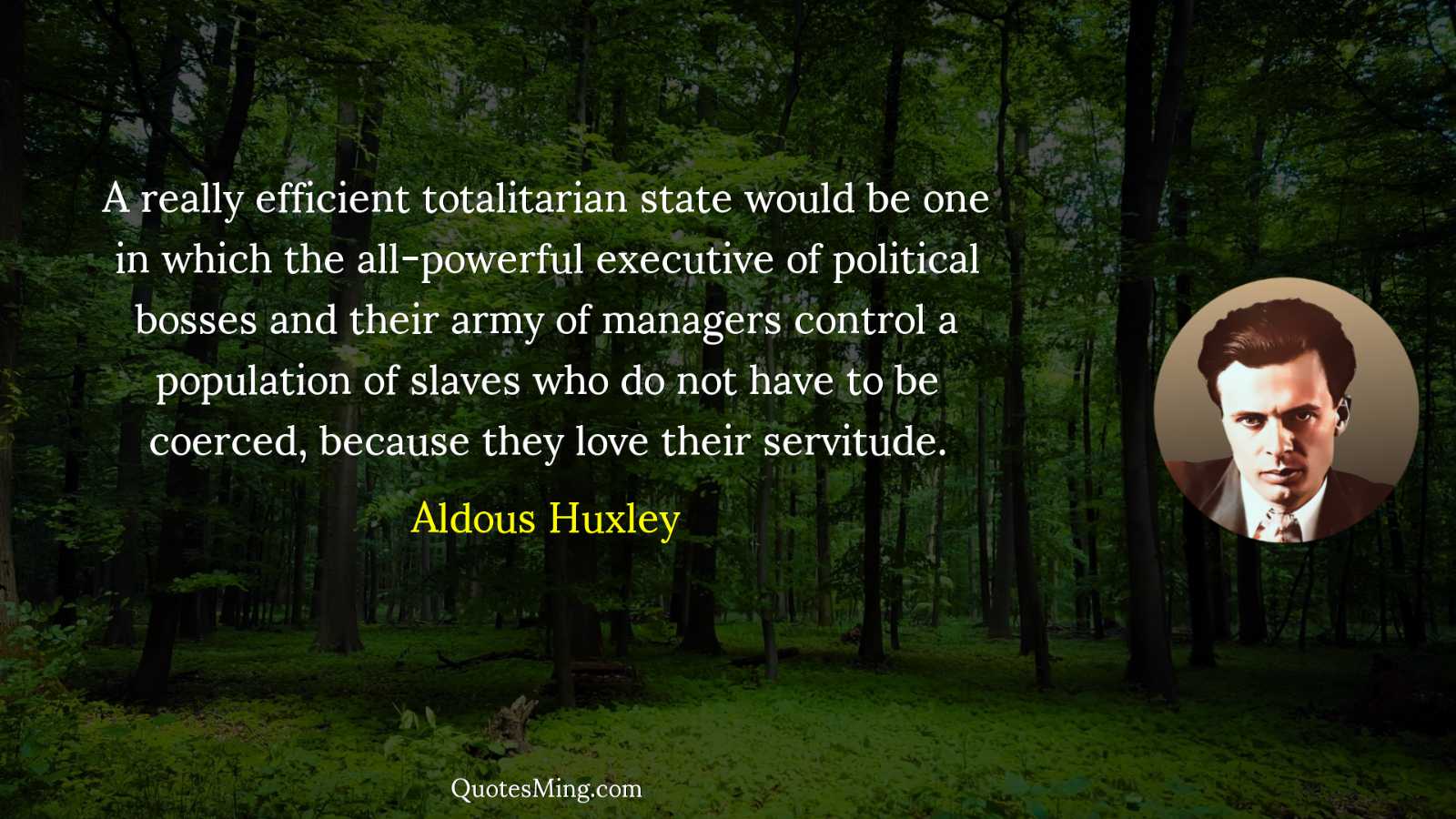 A really efficient totalitarian state would be one in which